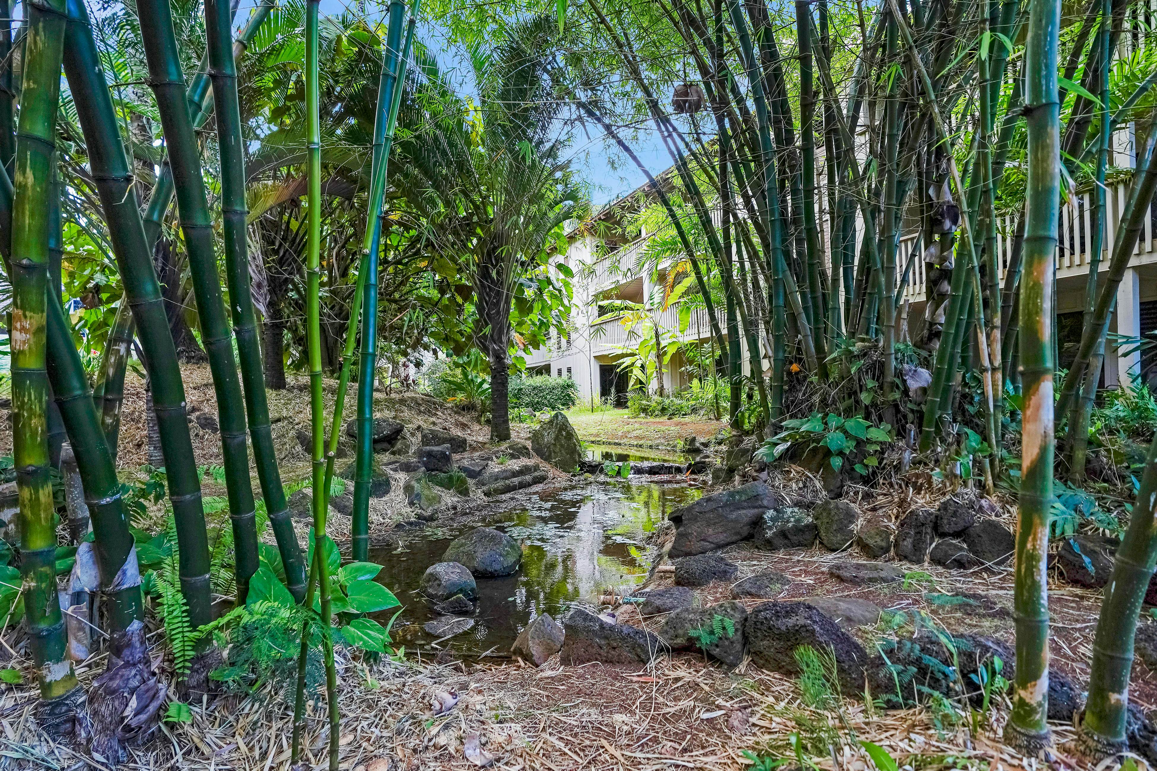 Waikomo Stream Villas 202