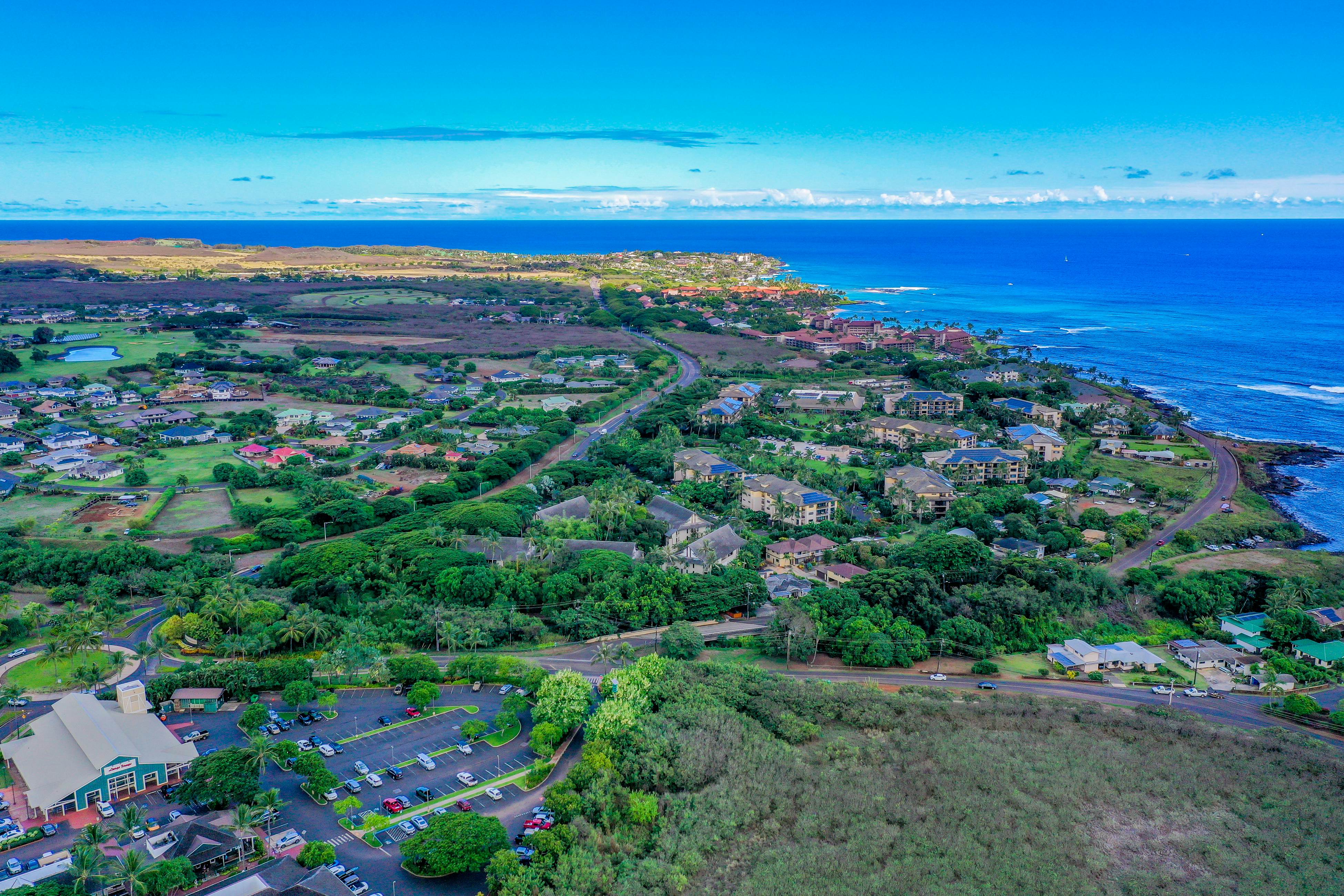 Waikomo Stream Villas 202