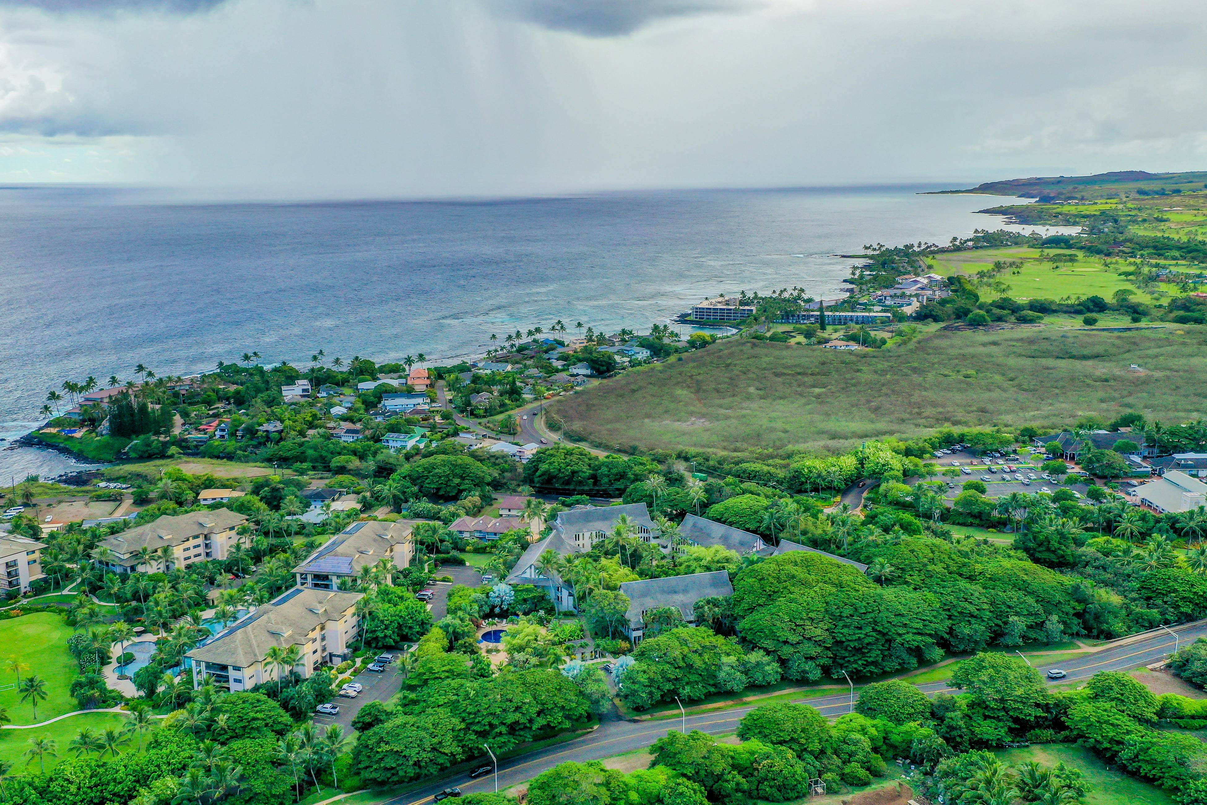 Waikomo Stream Villas 202