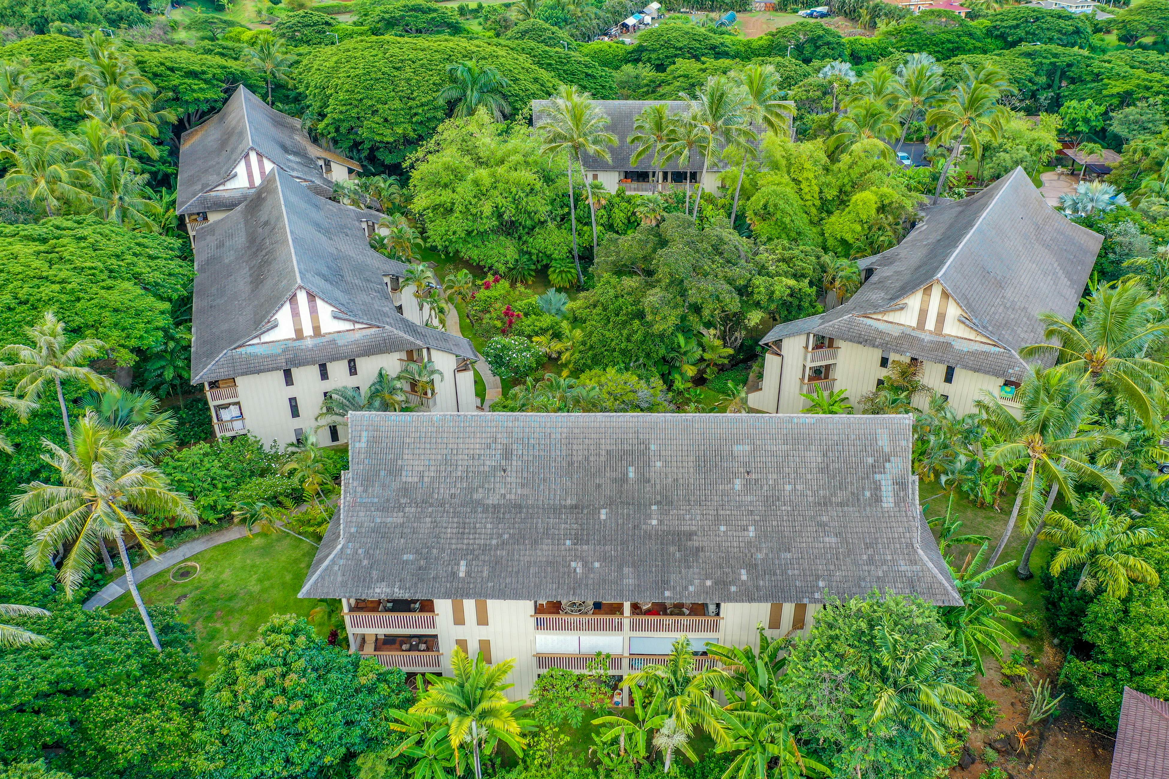 Waikomo Stream Villas 202