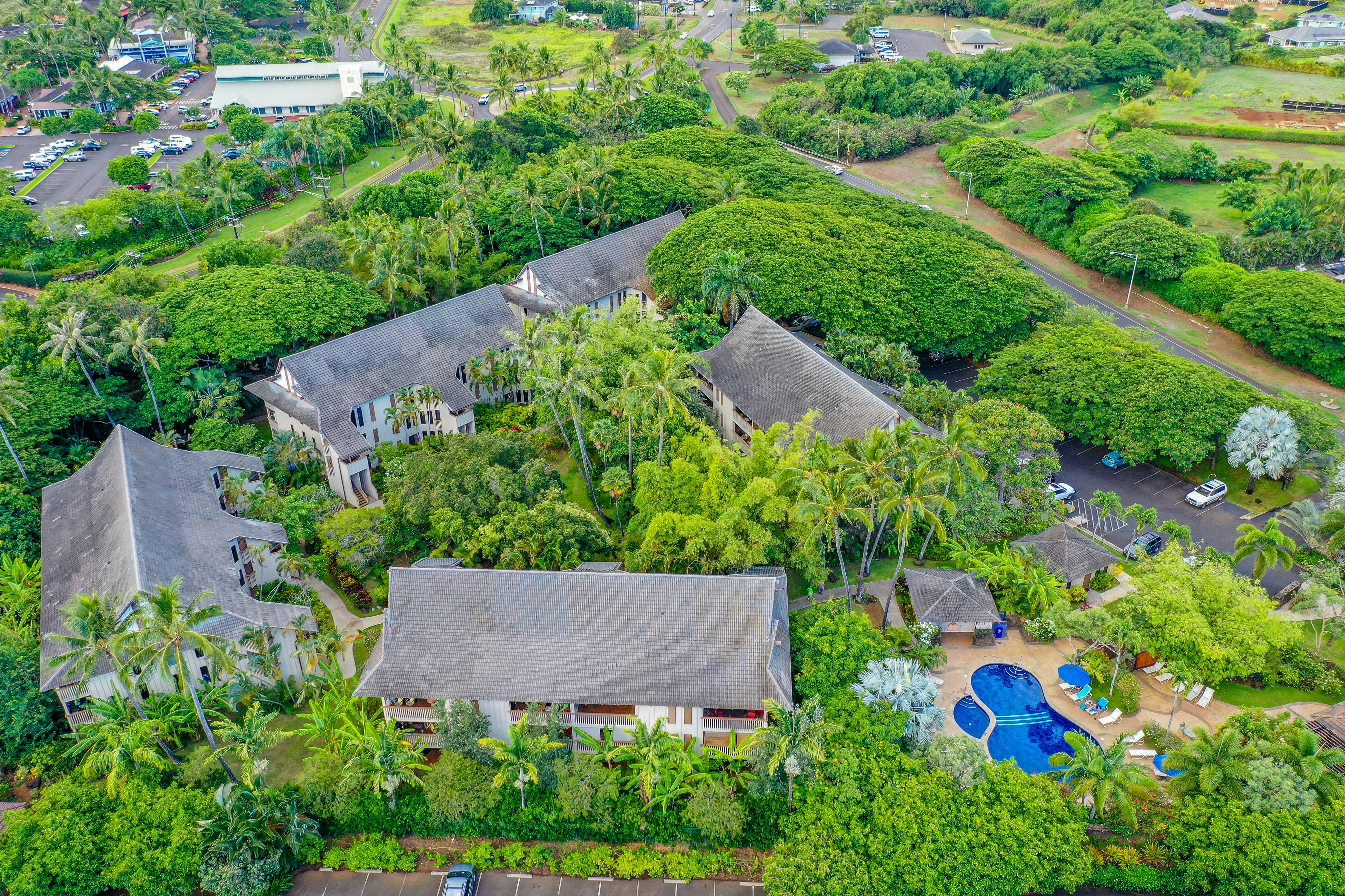 Waikomo Stream Villas 202