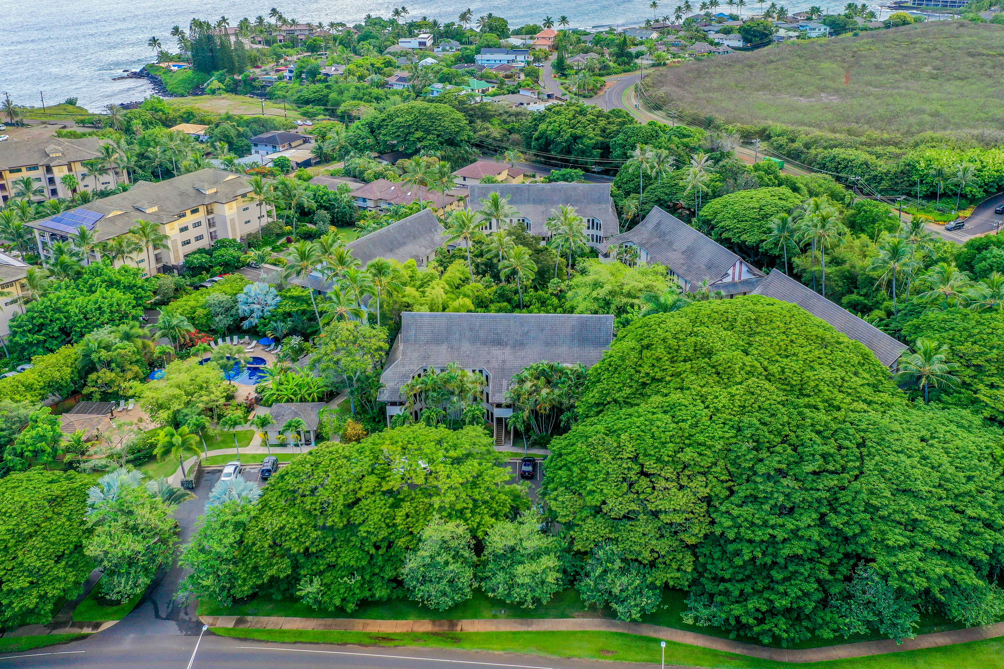 Waikomo Stream Villas 202