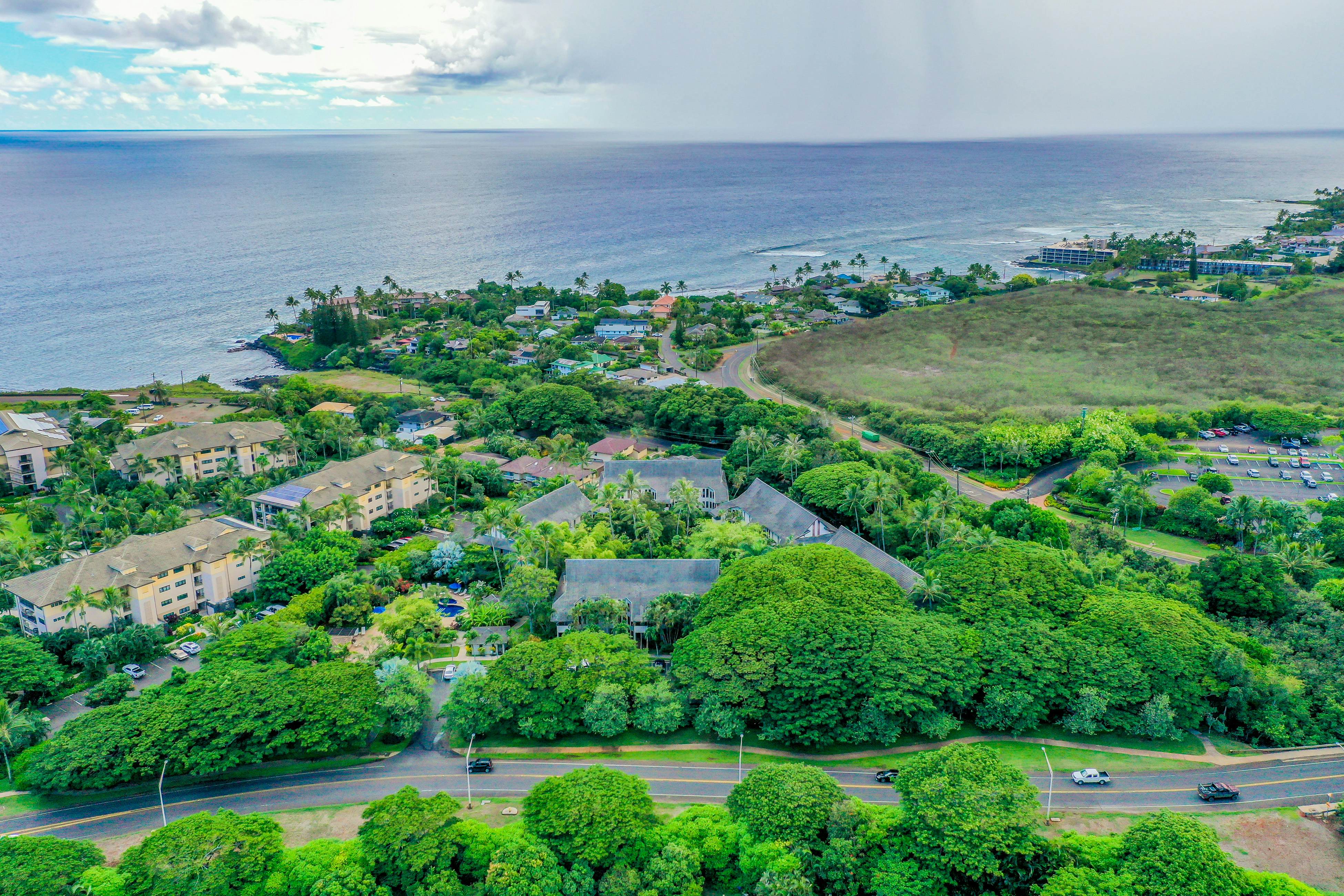 Waikomo Stream Villas 202