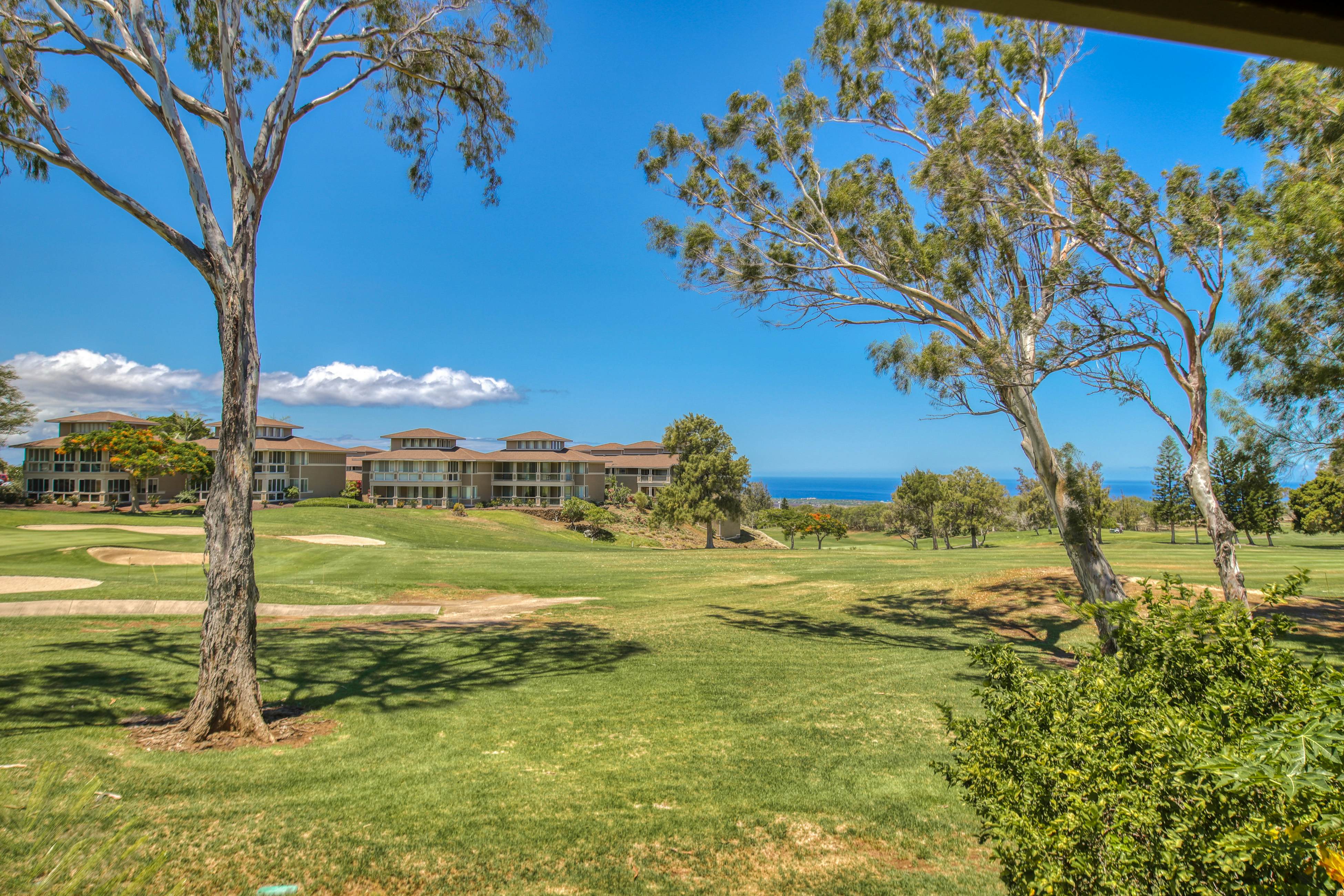 Waikoloa Villas H203