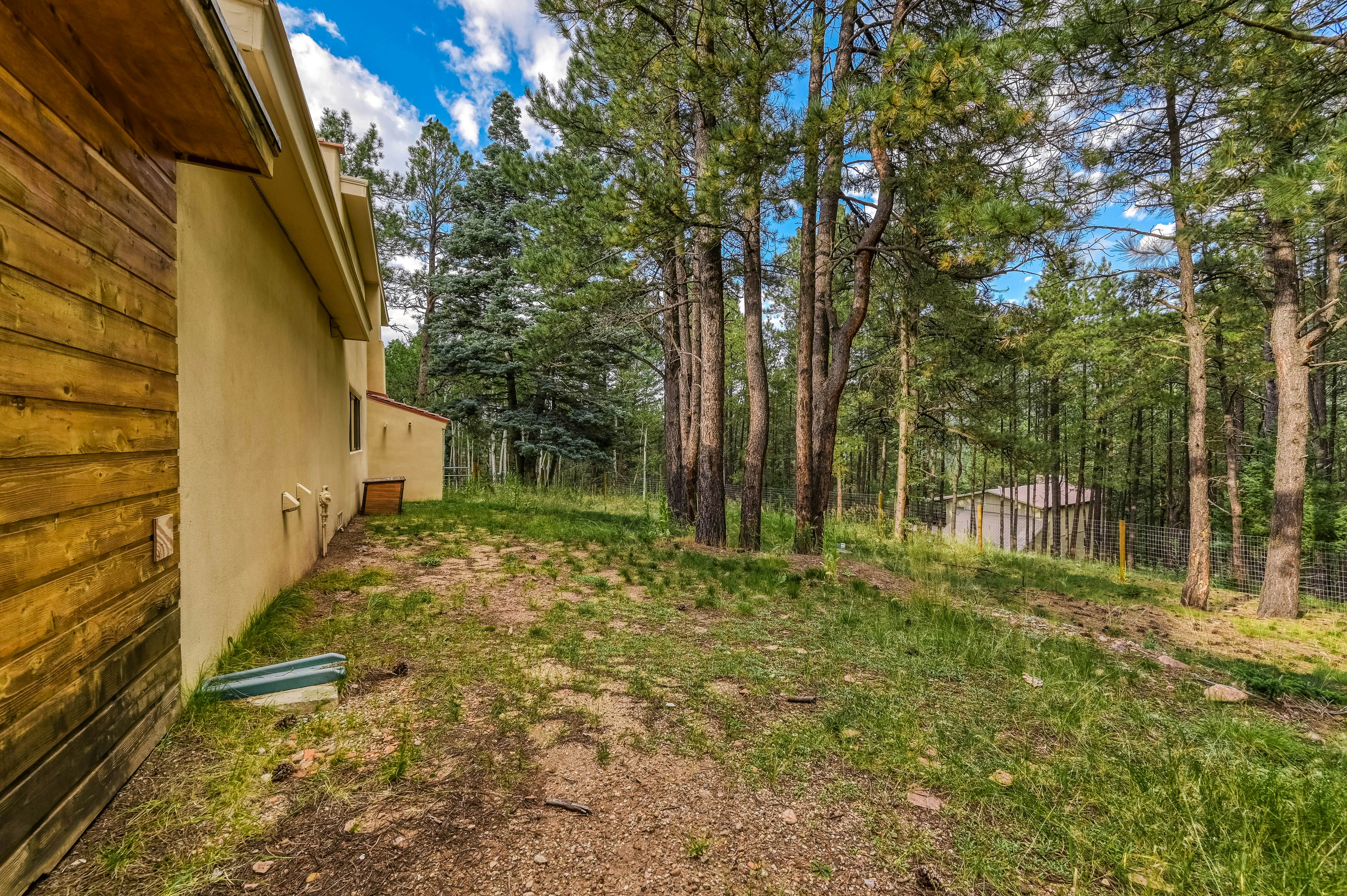 Casa Grande - the Palace in the Pines