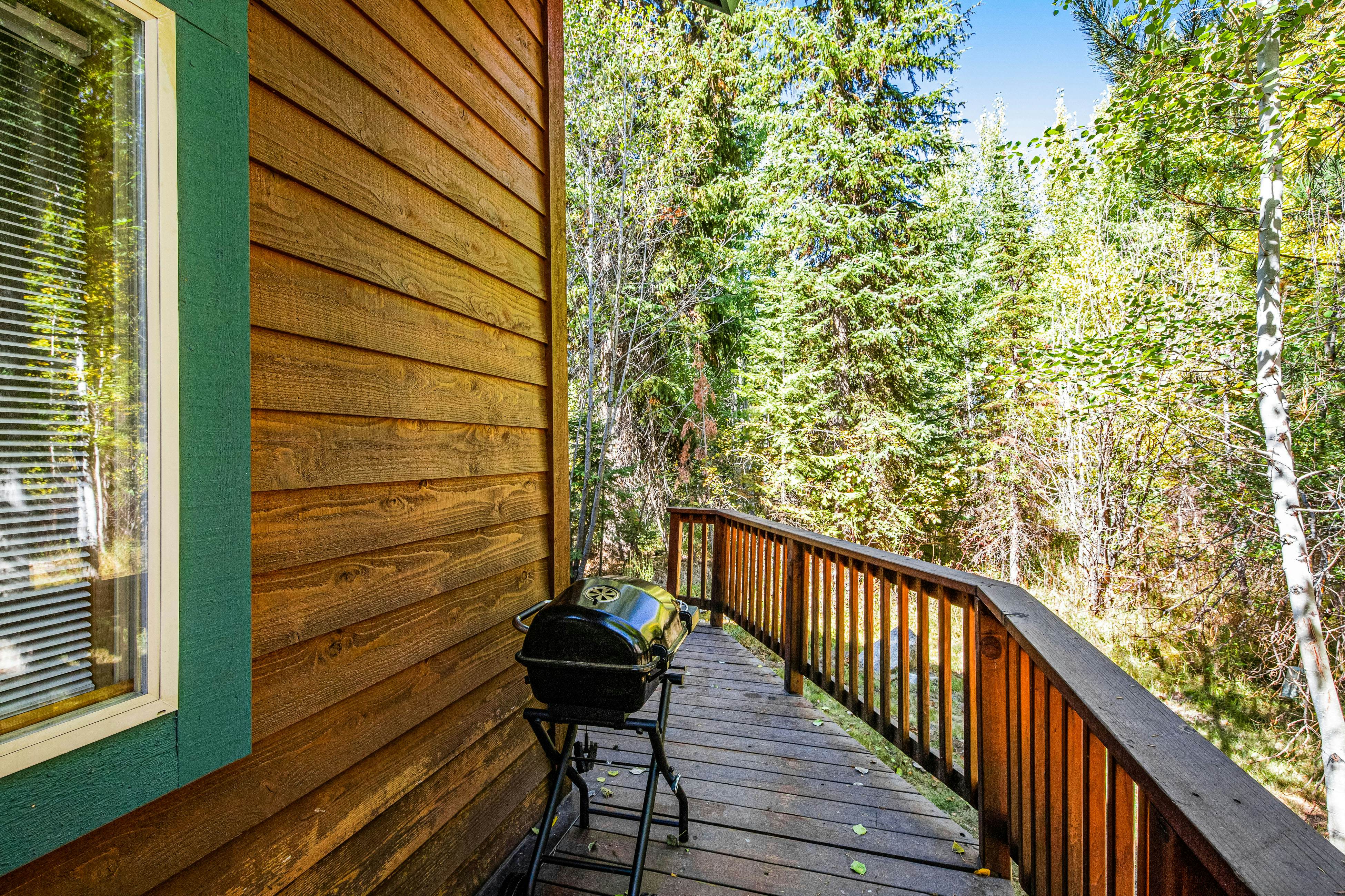 McCall Cottage Cabin