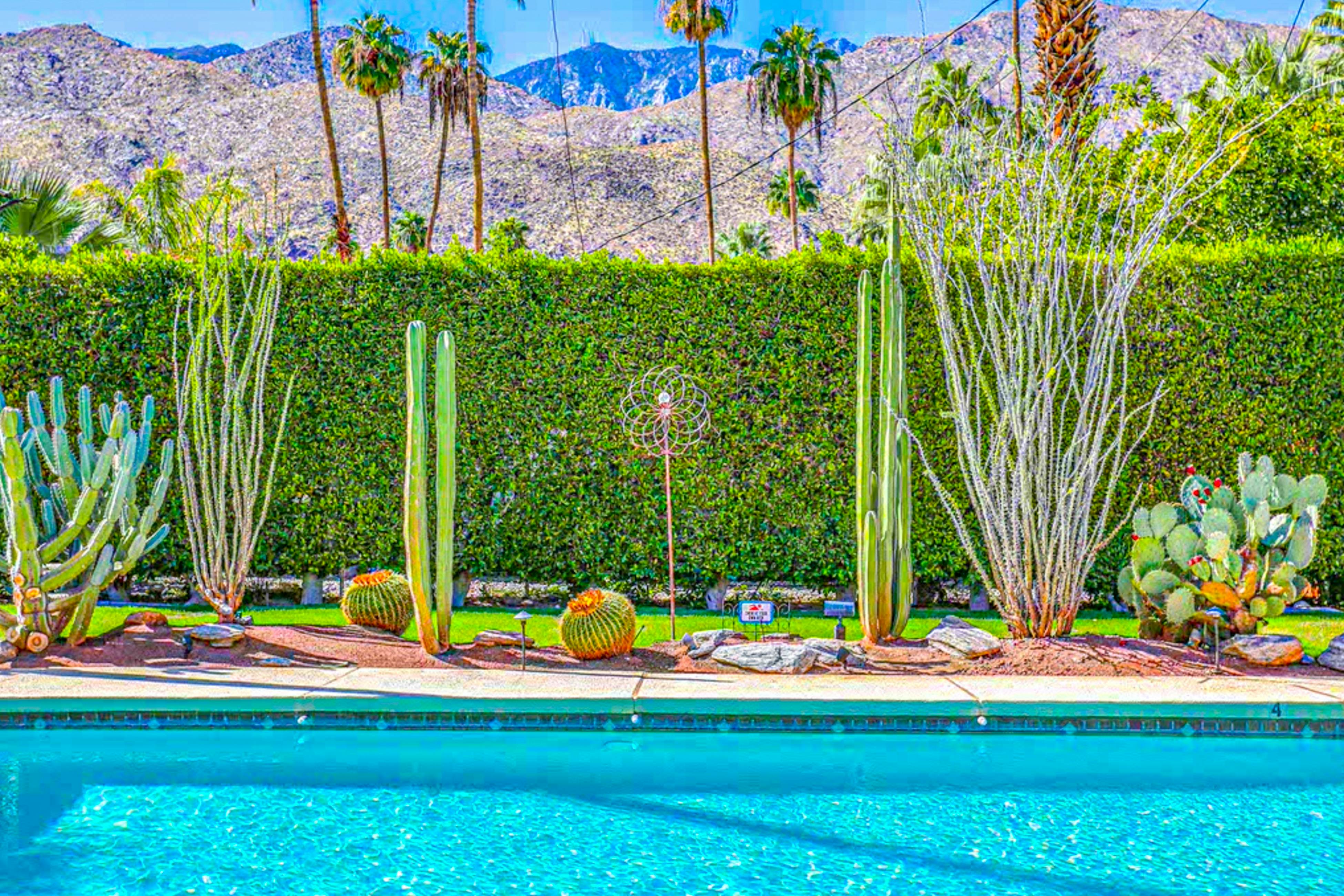 Palm Paradise - 2882