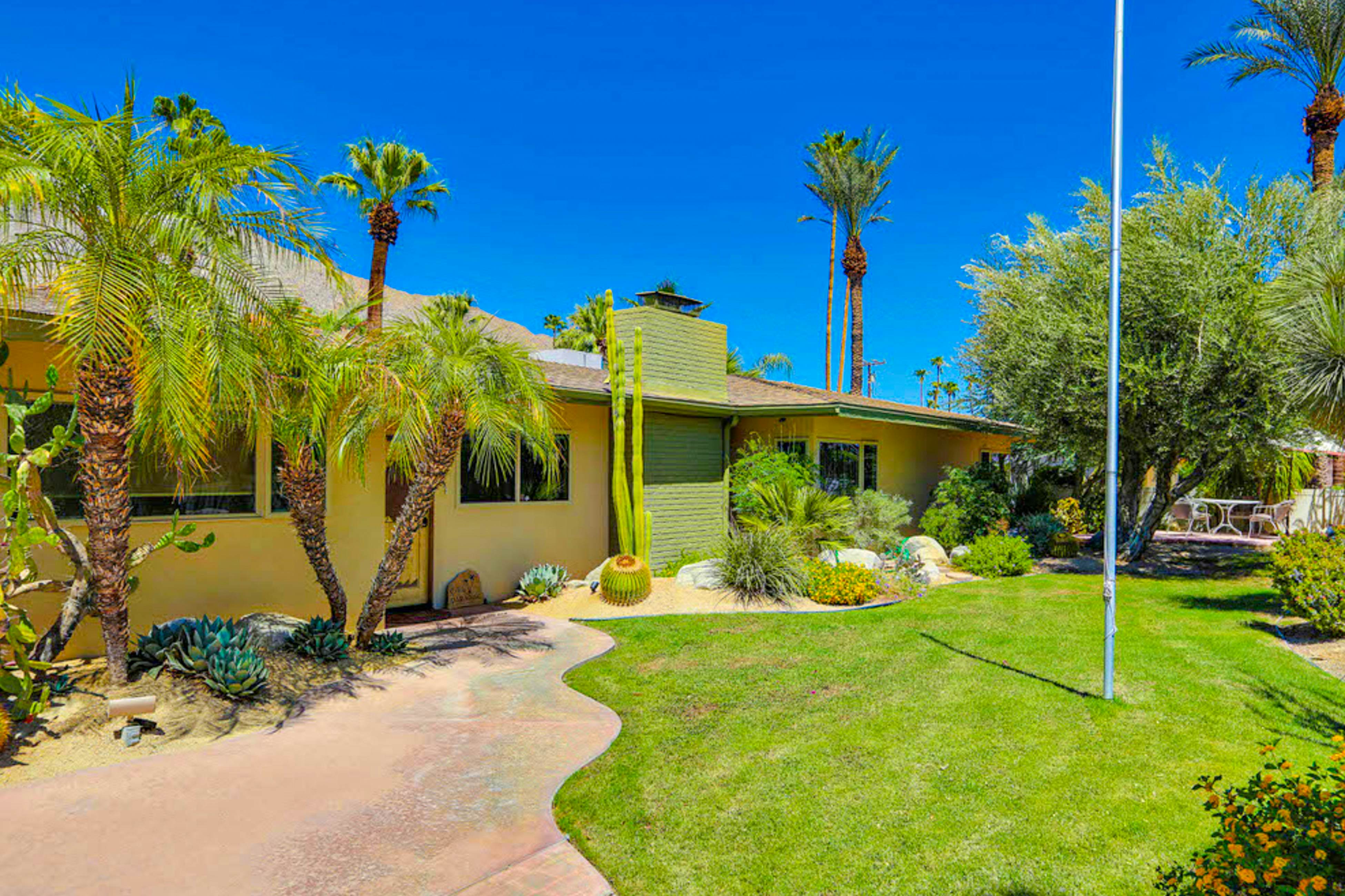 Palm Paradise - 2882