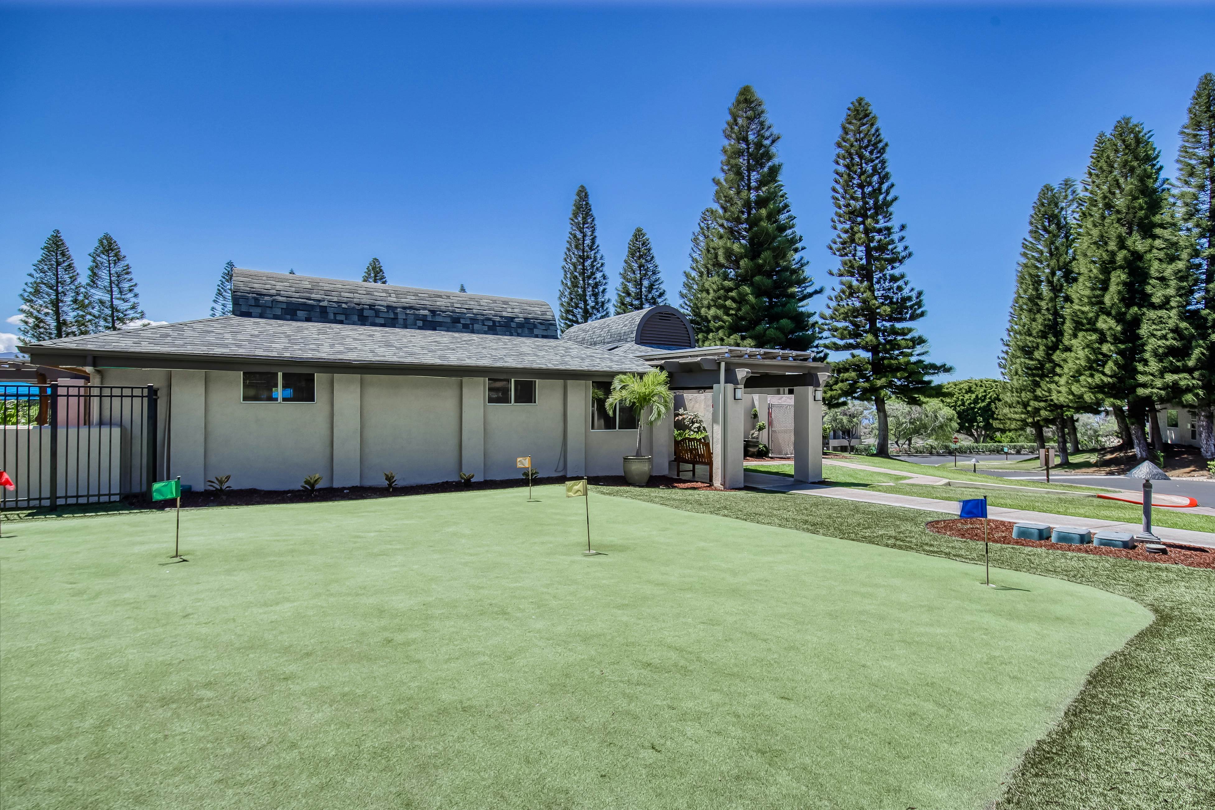 Greens At Waikoloa L101