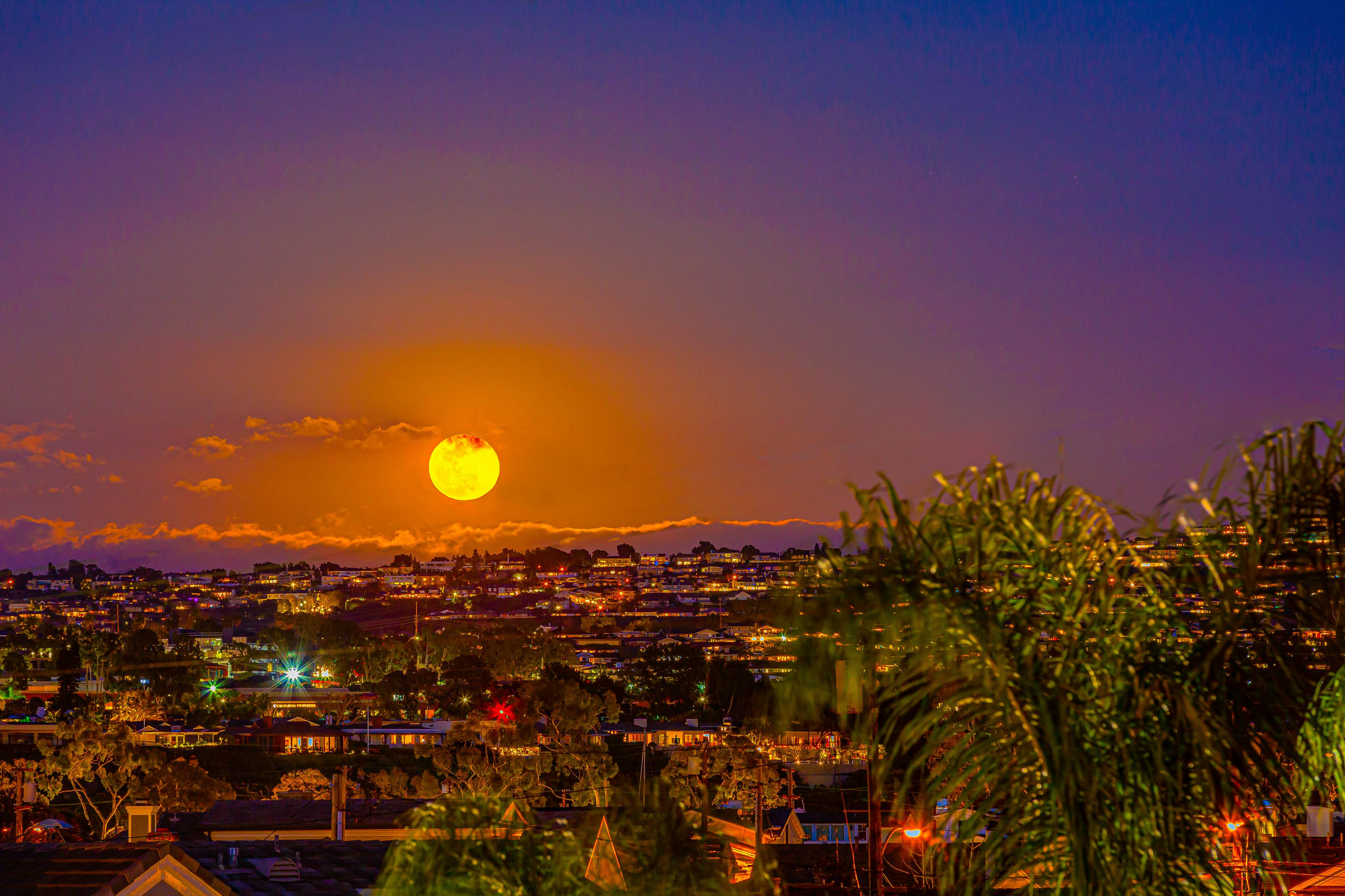 Spacious Balboa Beauty