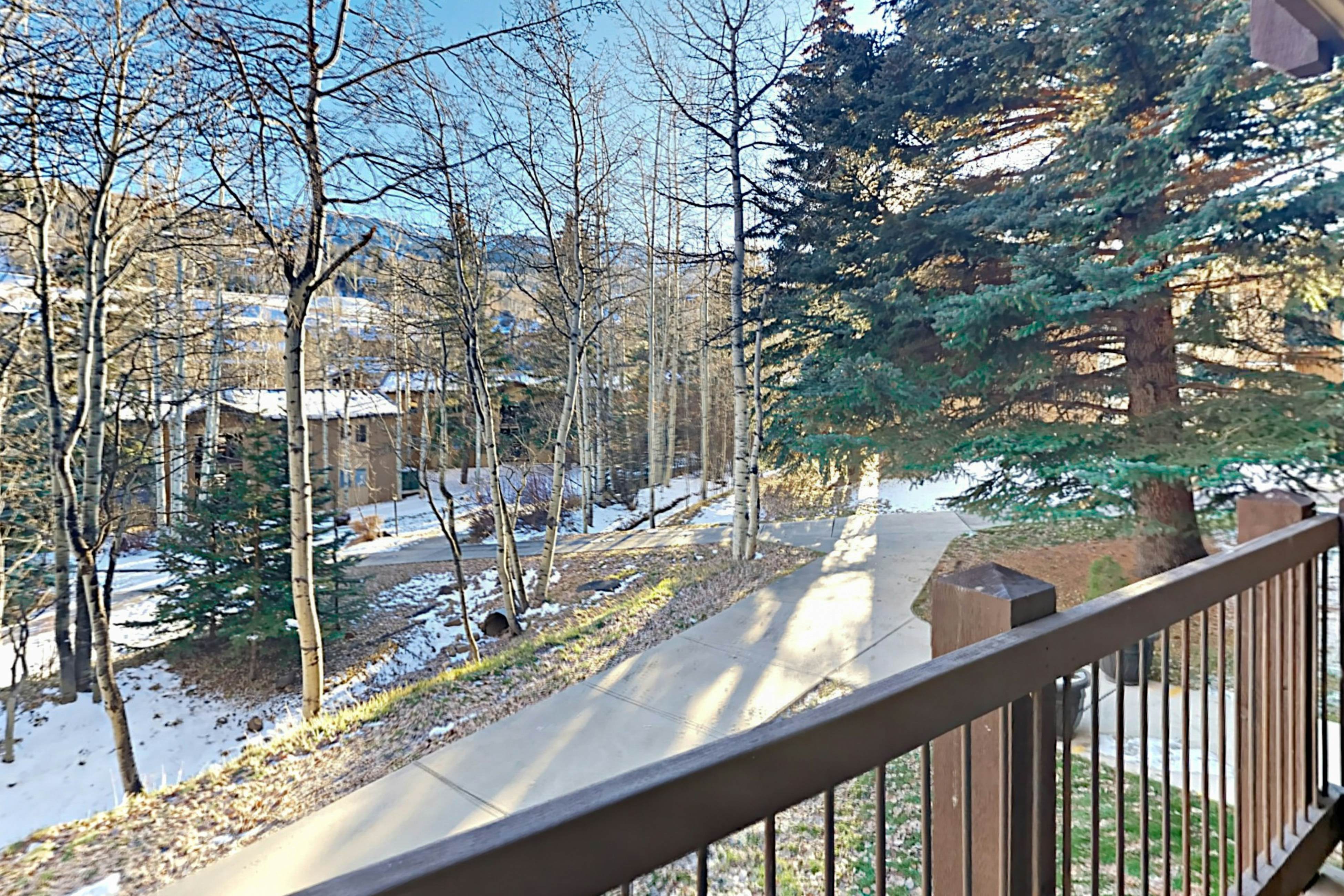 Snowmass Village 14A