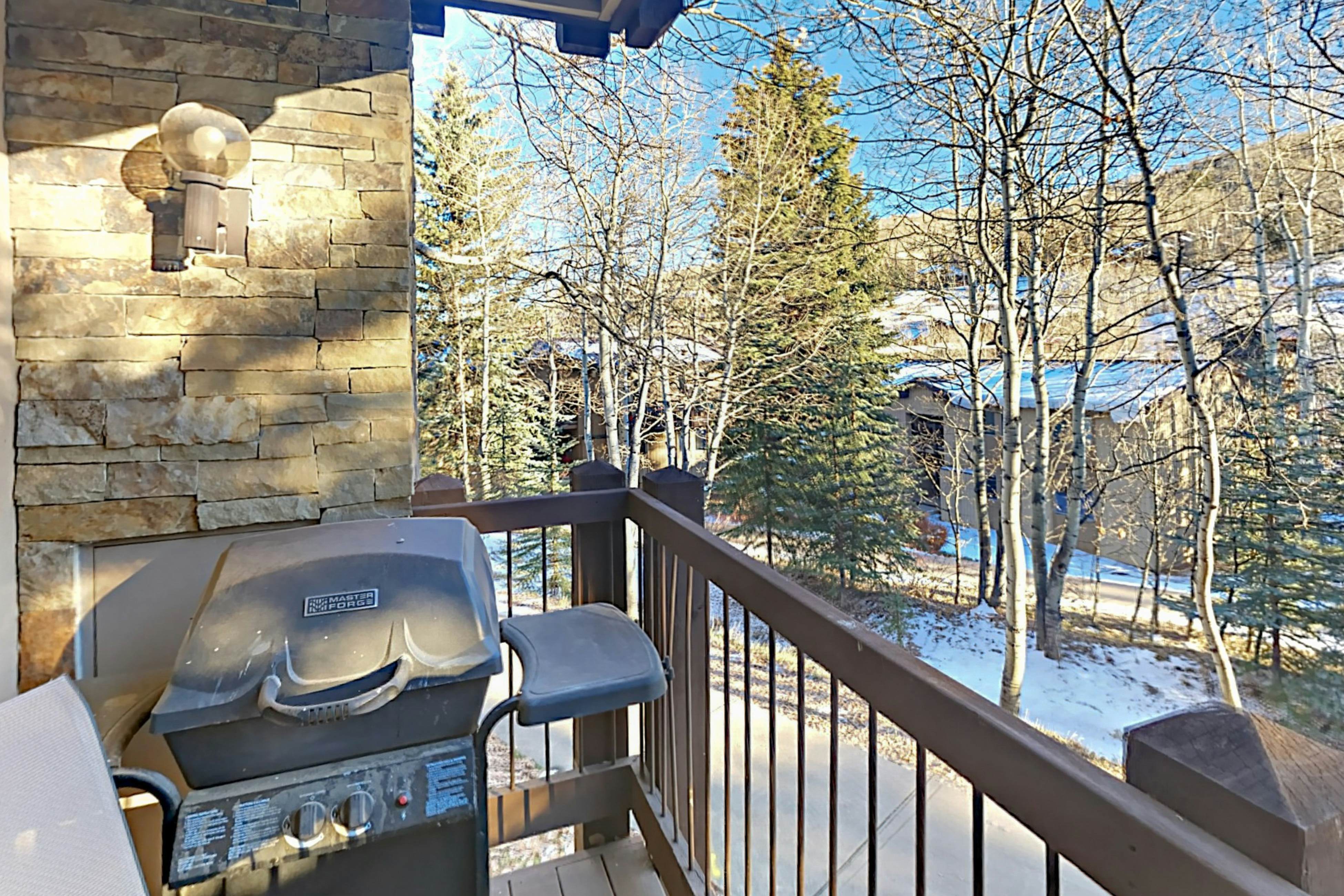 Snowmass Village 14A