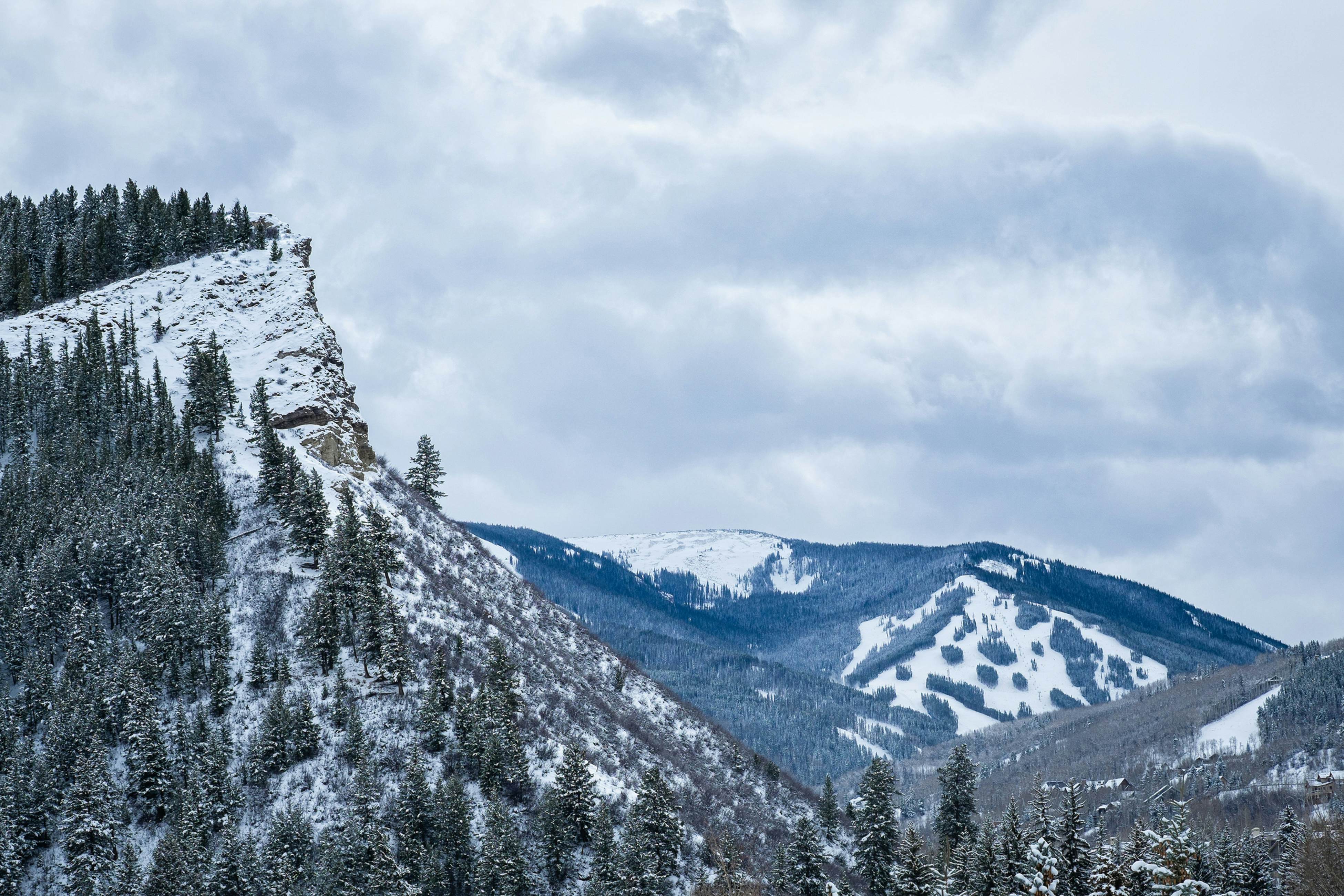 Bridgewater Sanctuary