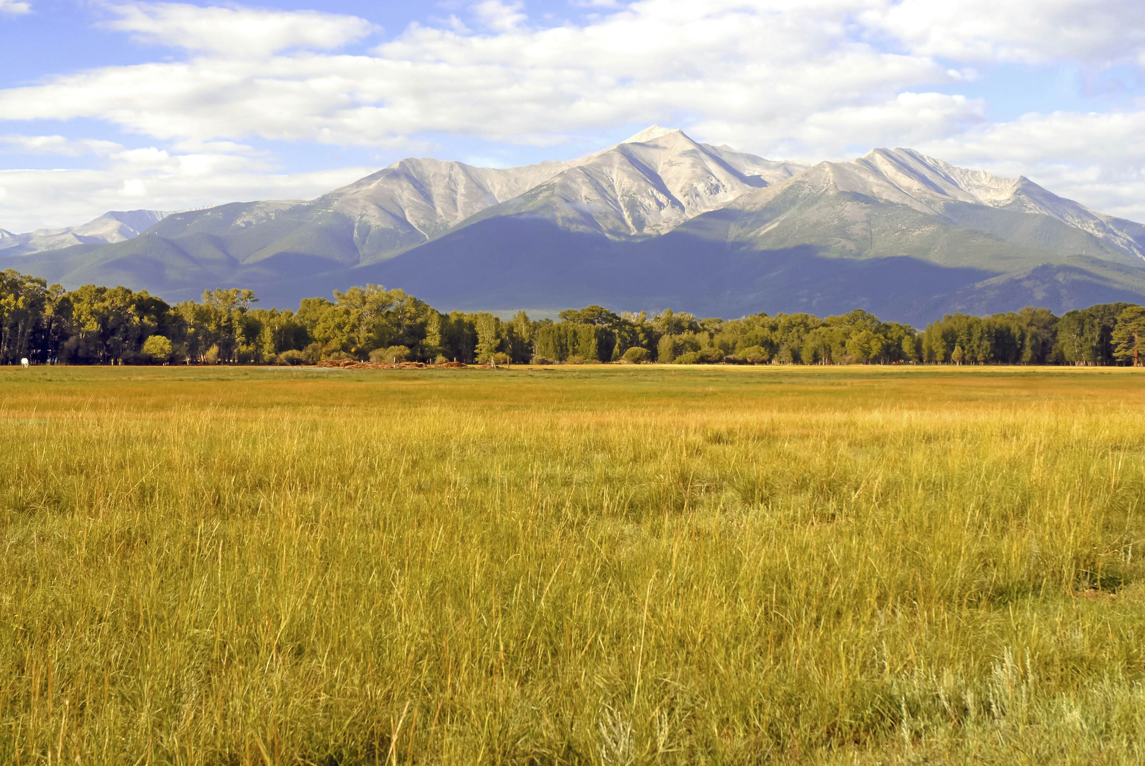 Bridgewater Sanctuary