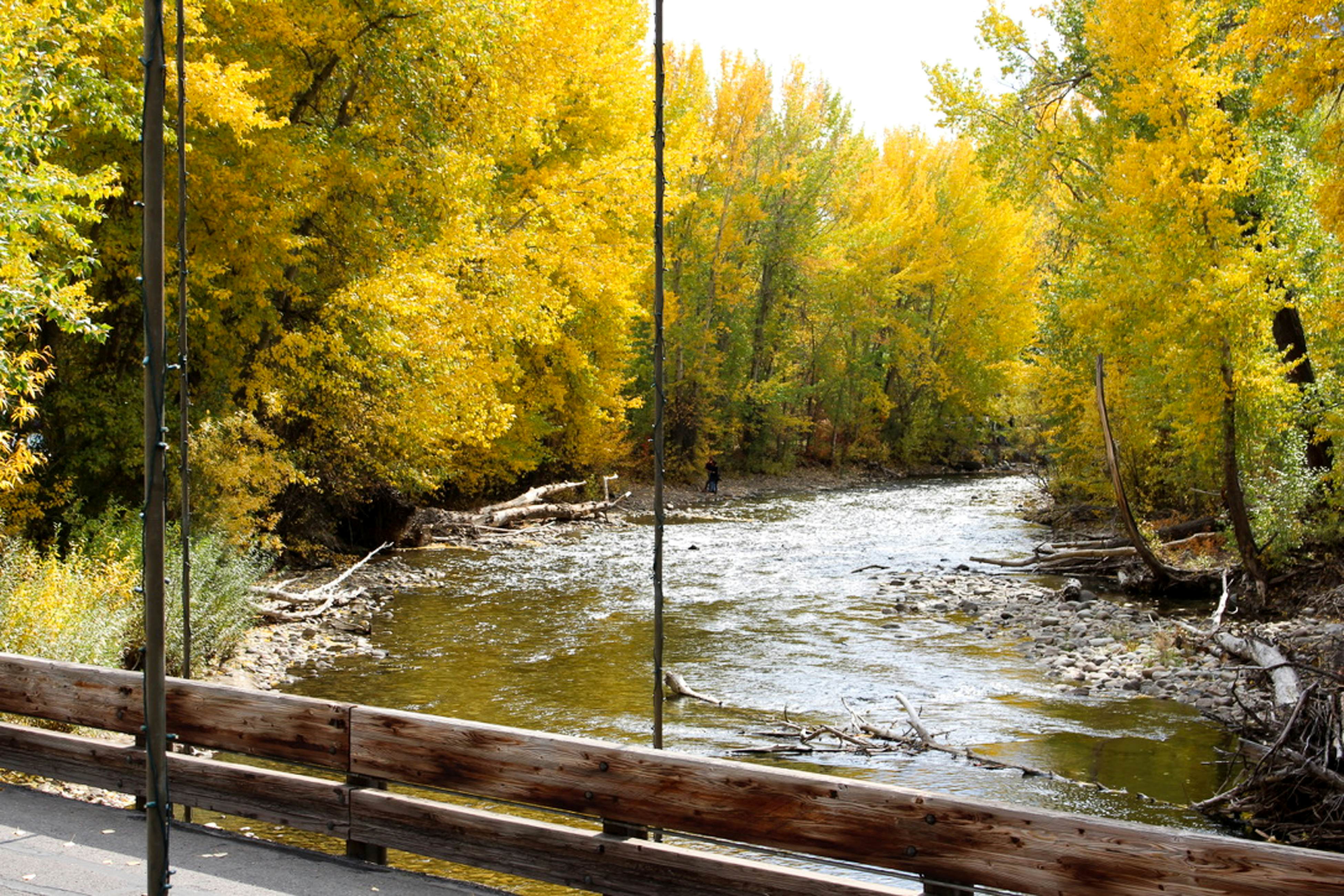 Delightful International Village Getaway