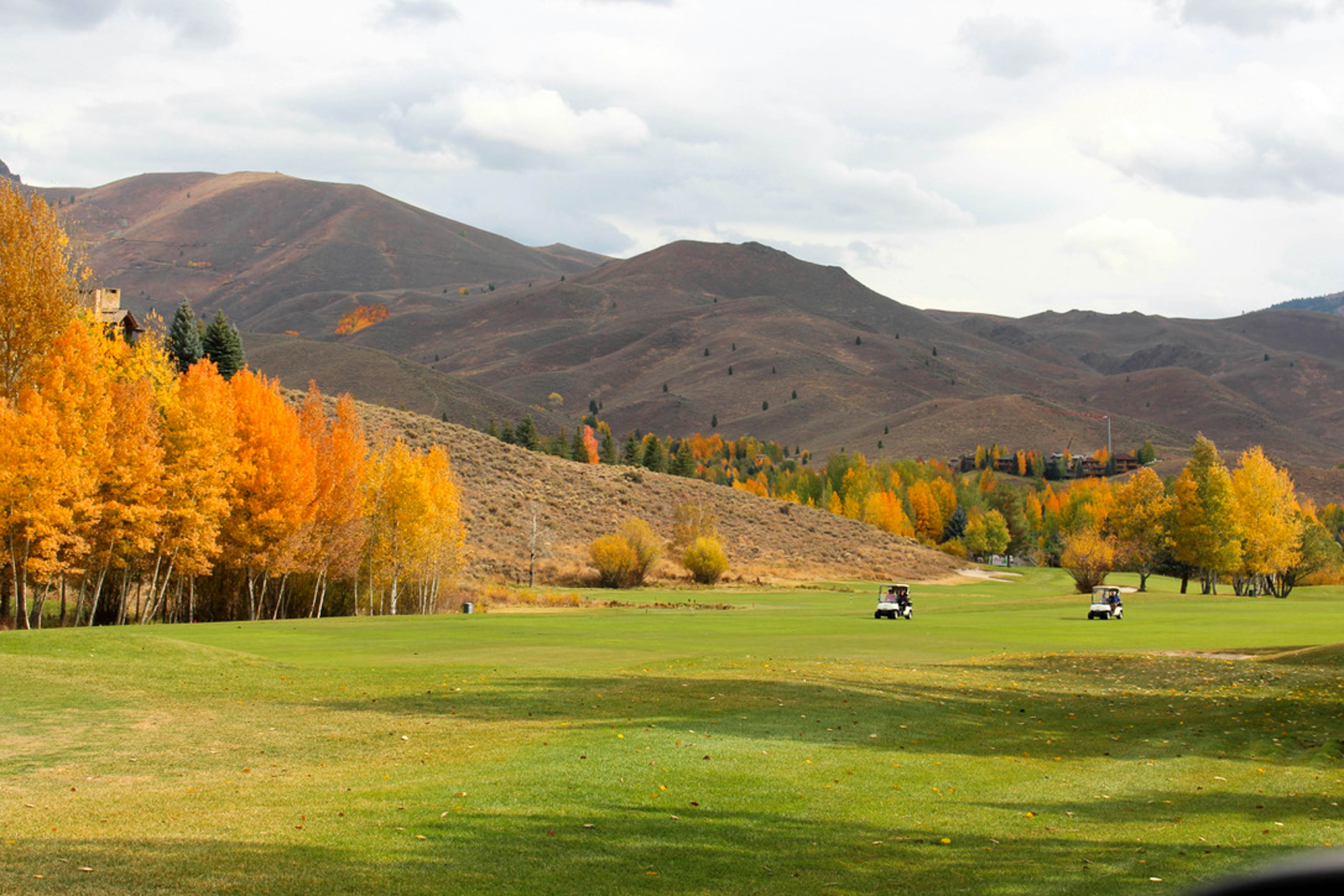 Delightful International Village Getaway