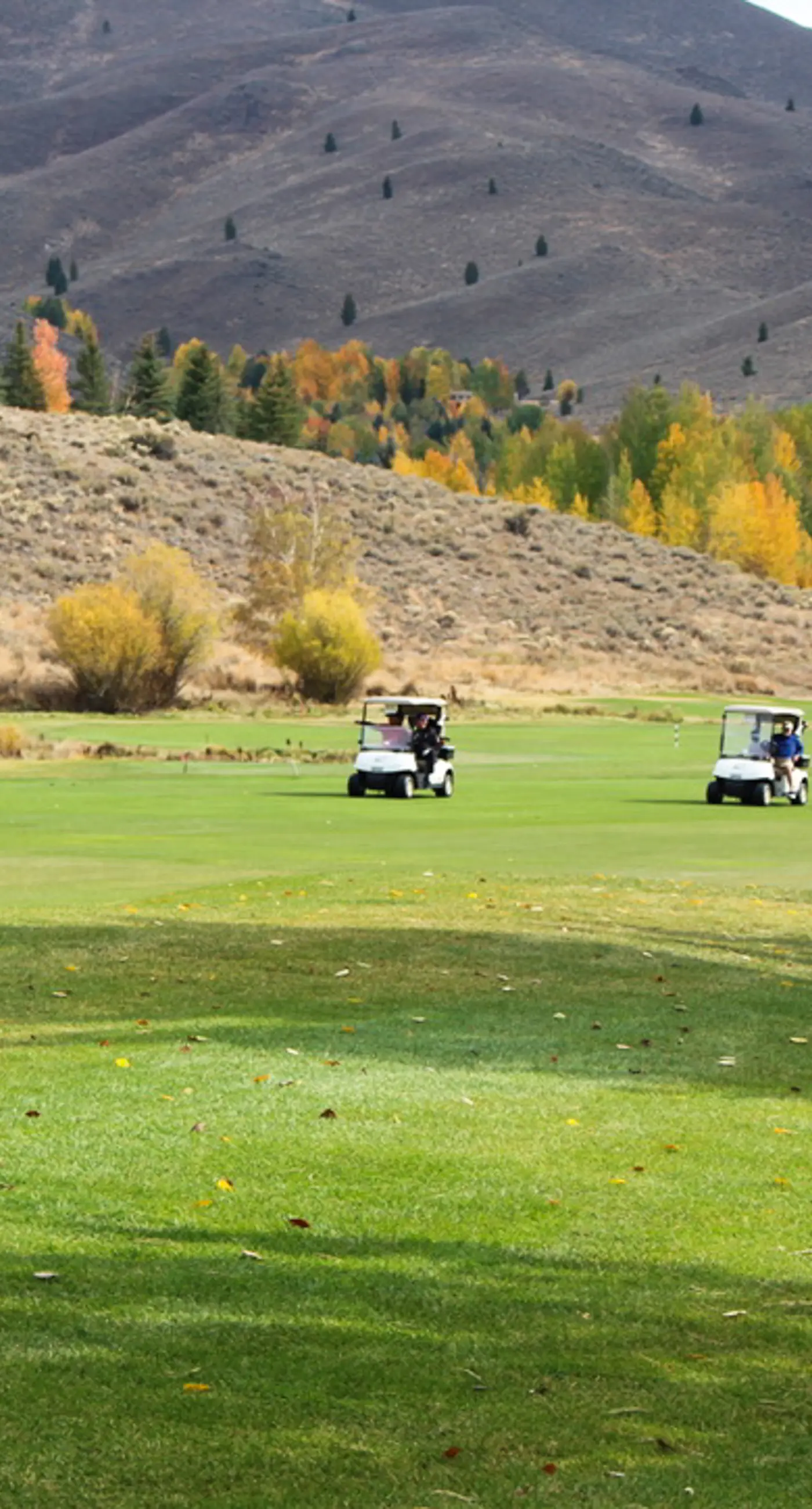 Elkhorn Springs Getaway