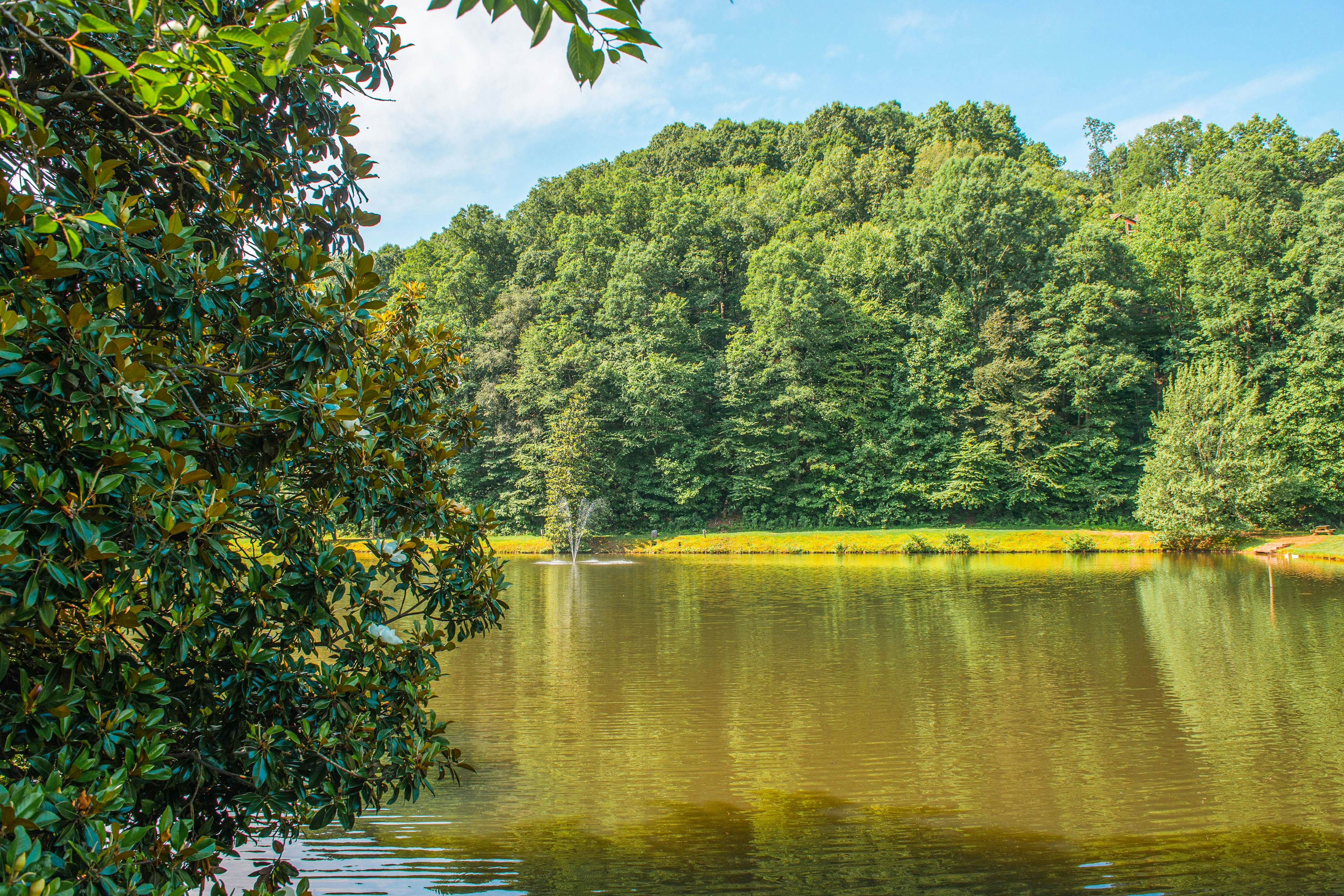 Star Seasons Retreat