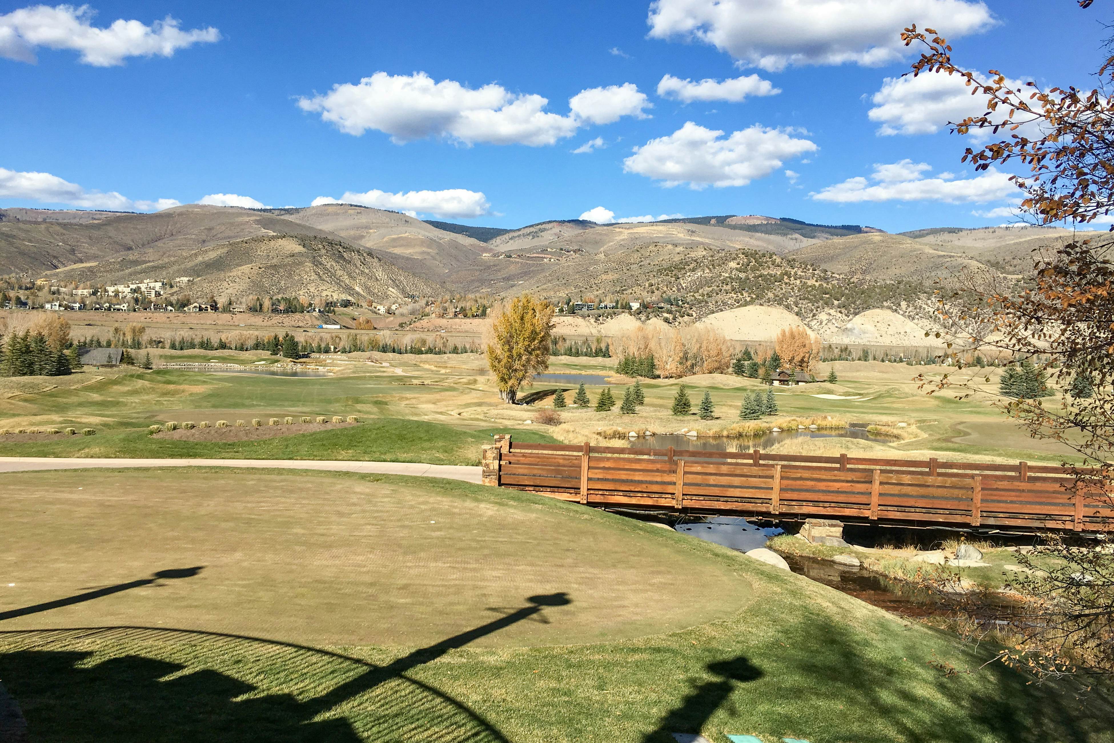 Springs of Arrowhead