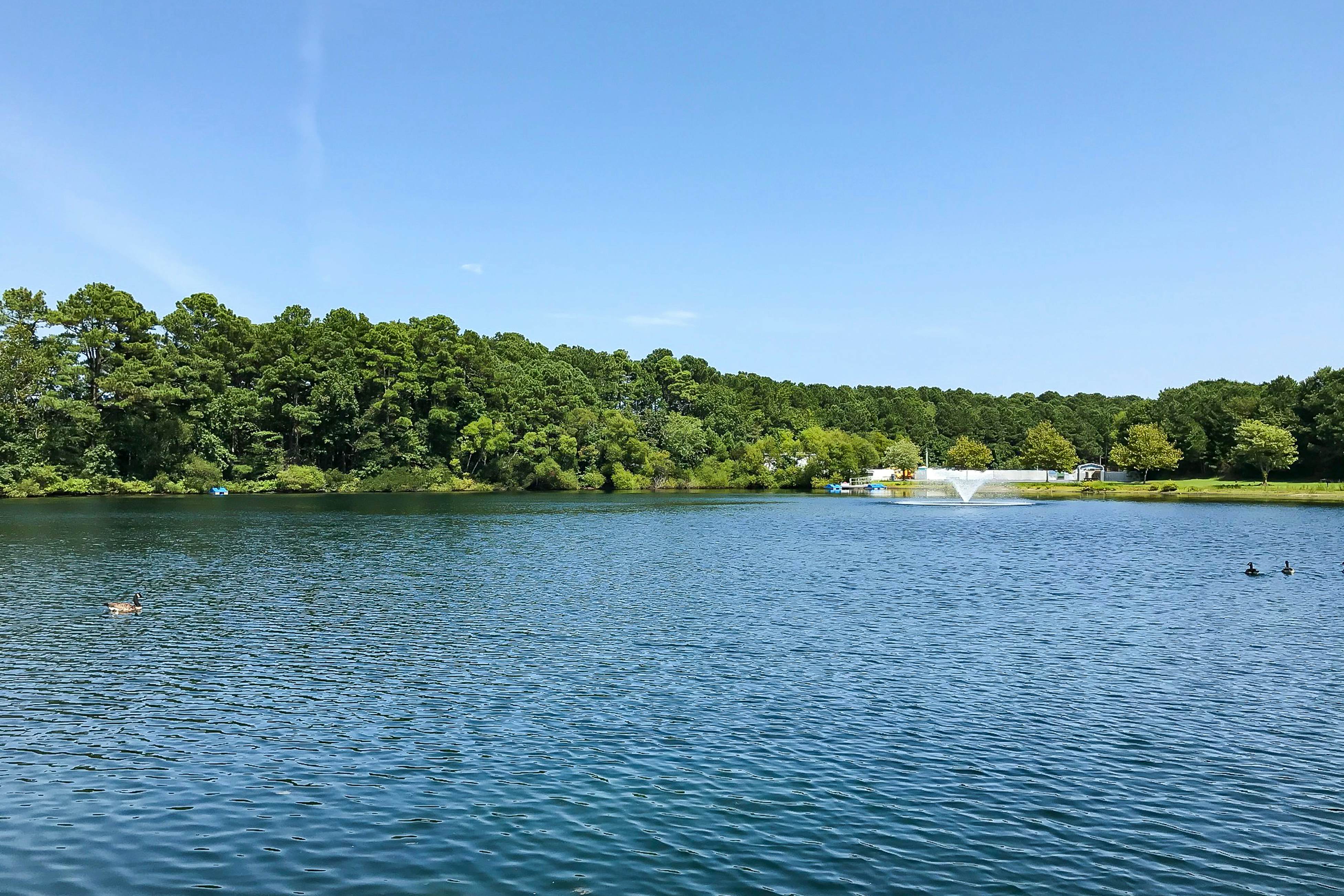 Assateague Pointe Assateague Way 2 BD Berlin, MD Vacation Rental Vacasa