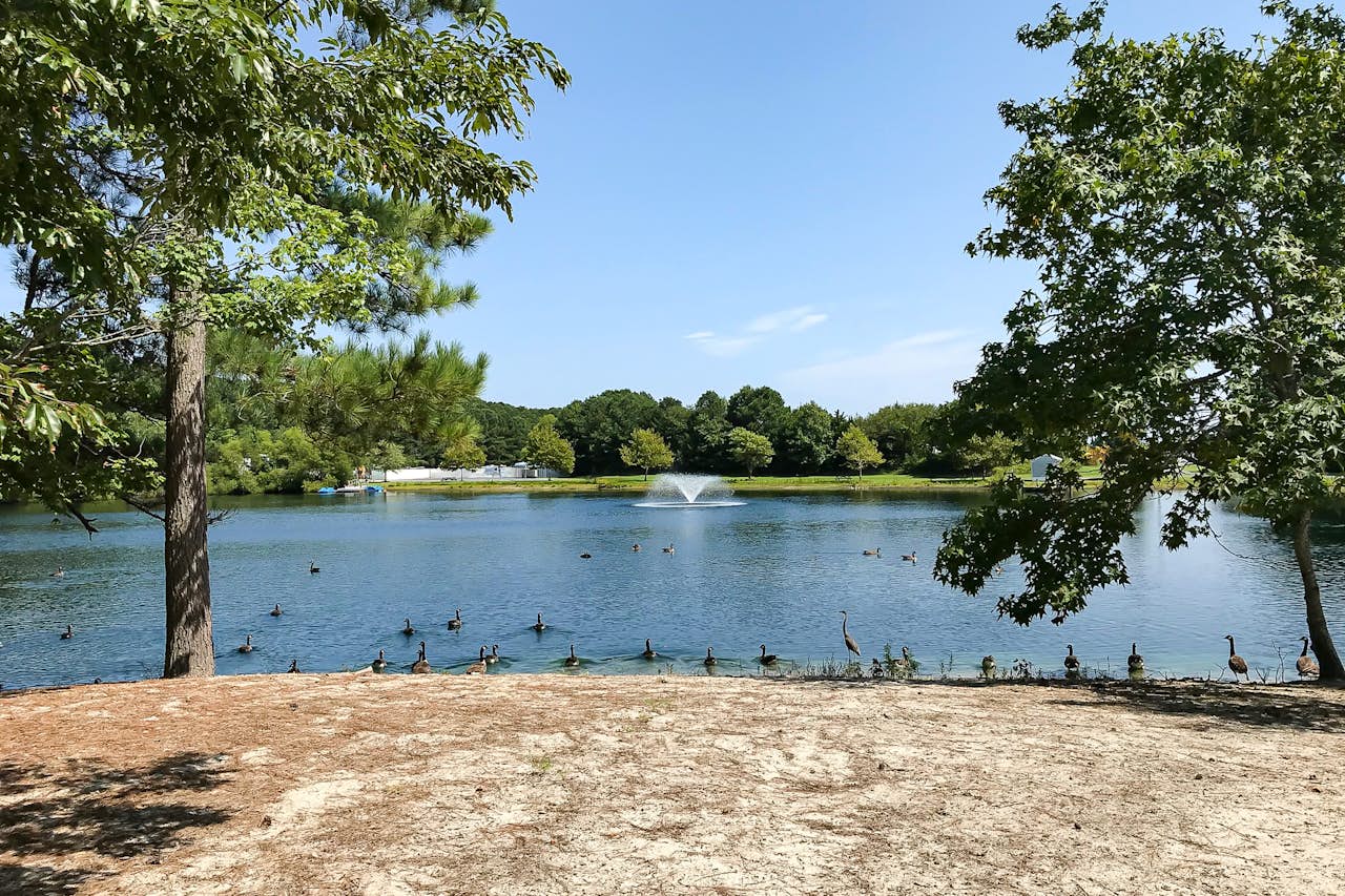 Assateague Pointe Assateague Way 2 BD Berlin, MD Vacation Rental