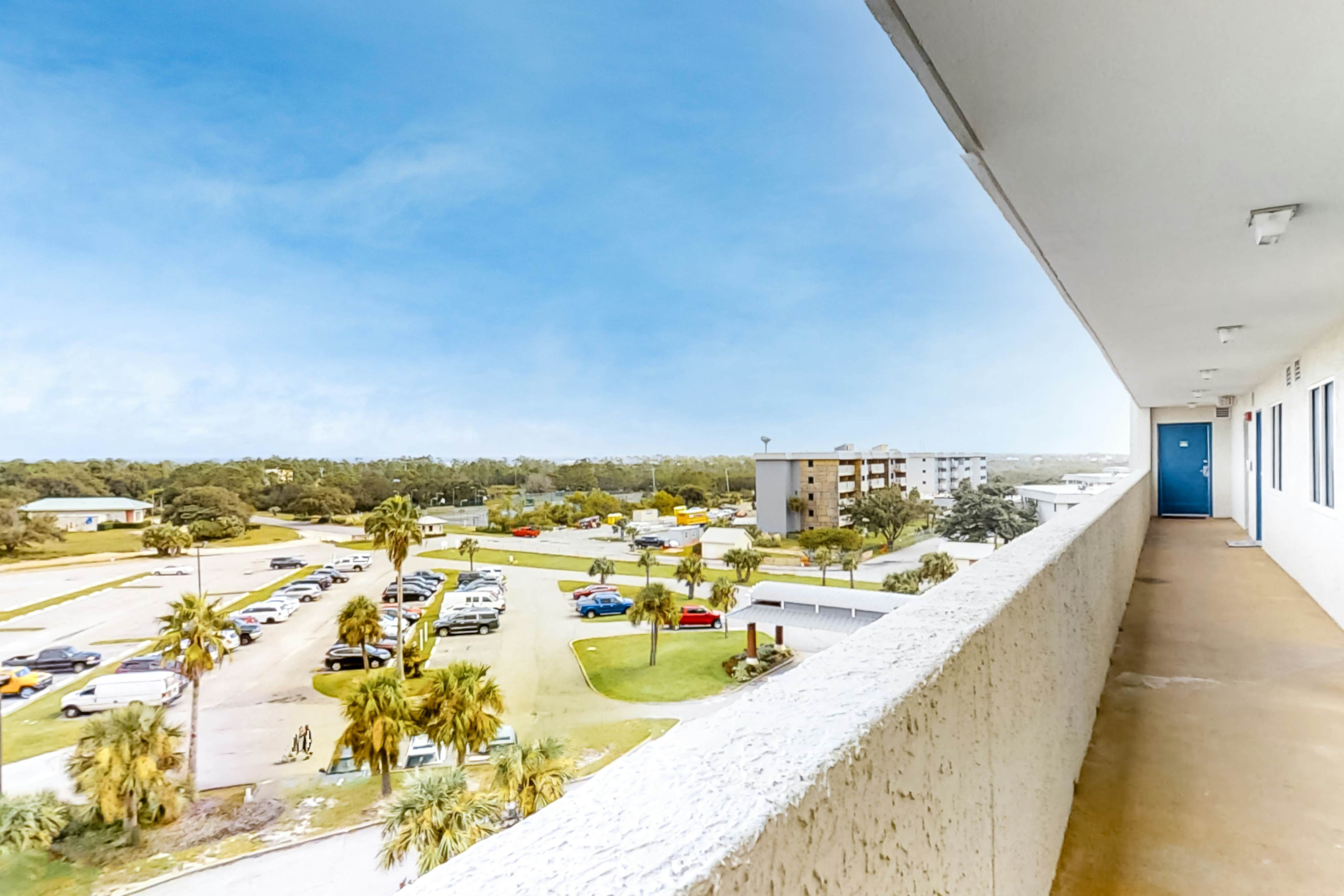 Plantation Palms #6604