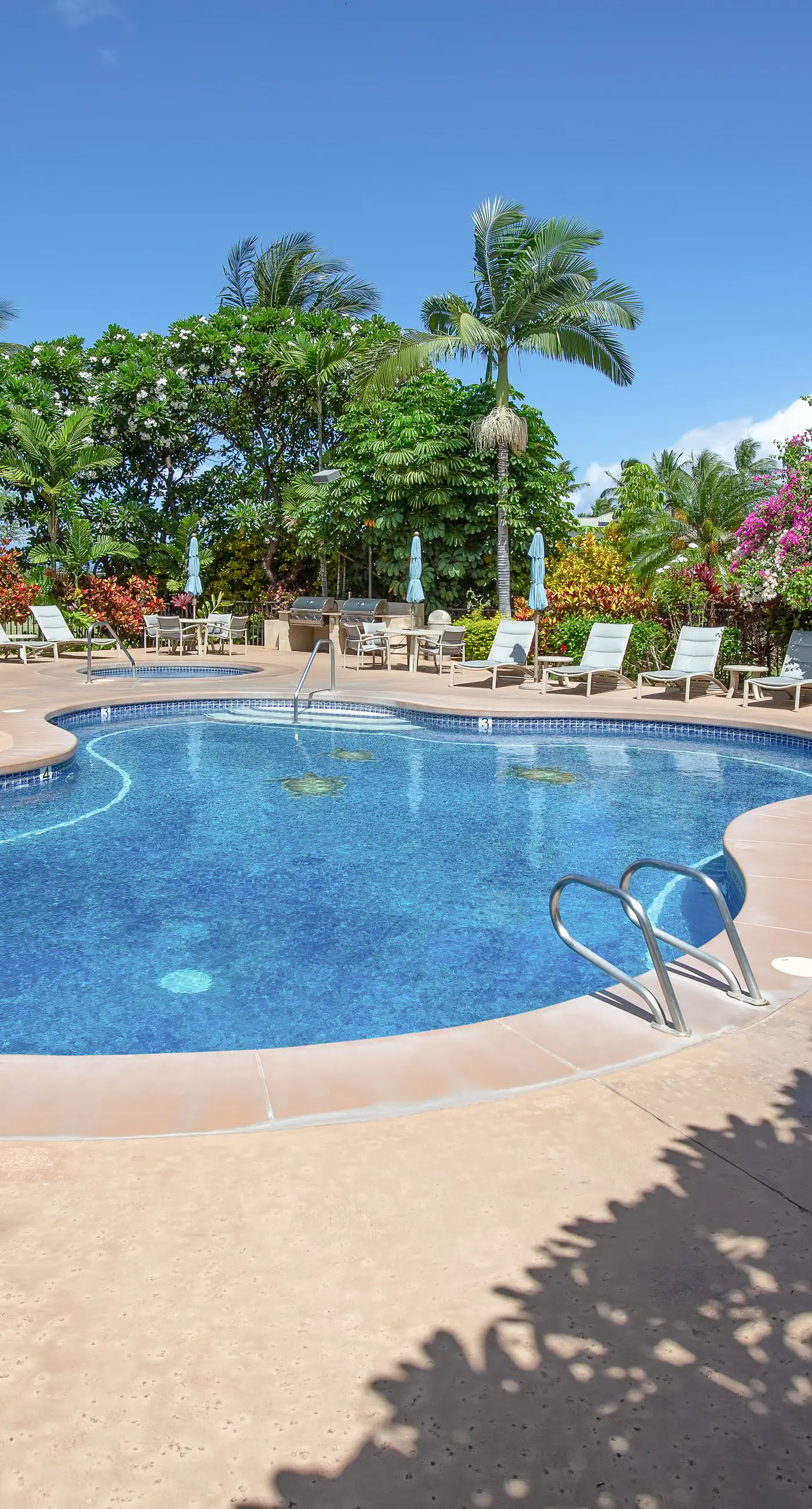 Wailea Grand Champions 26