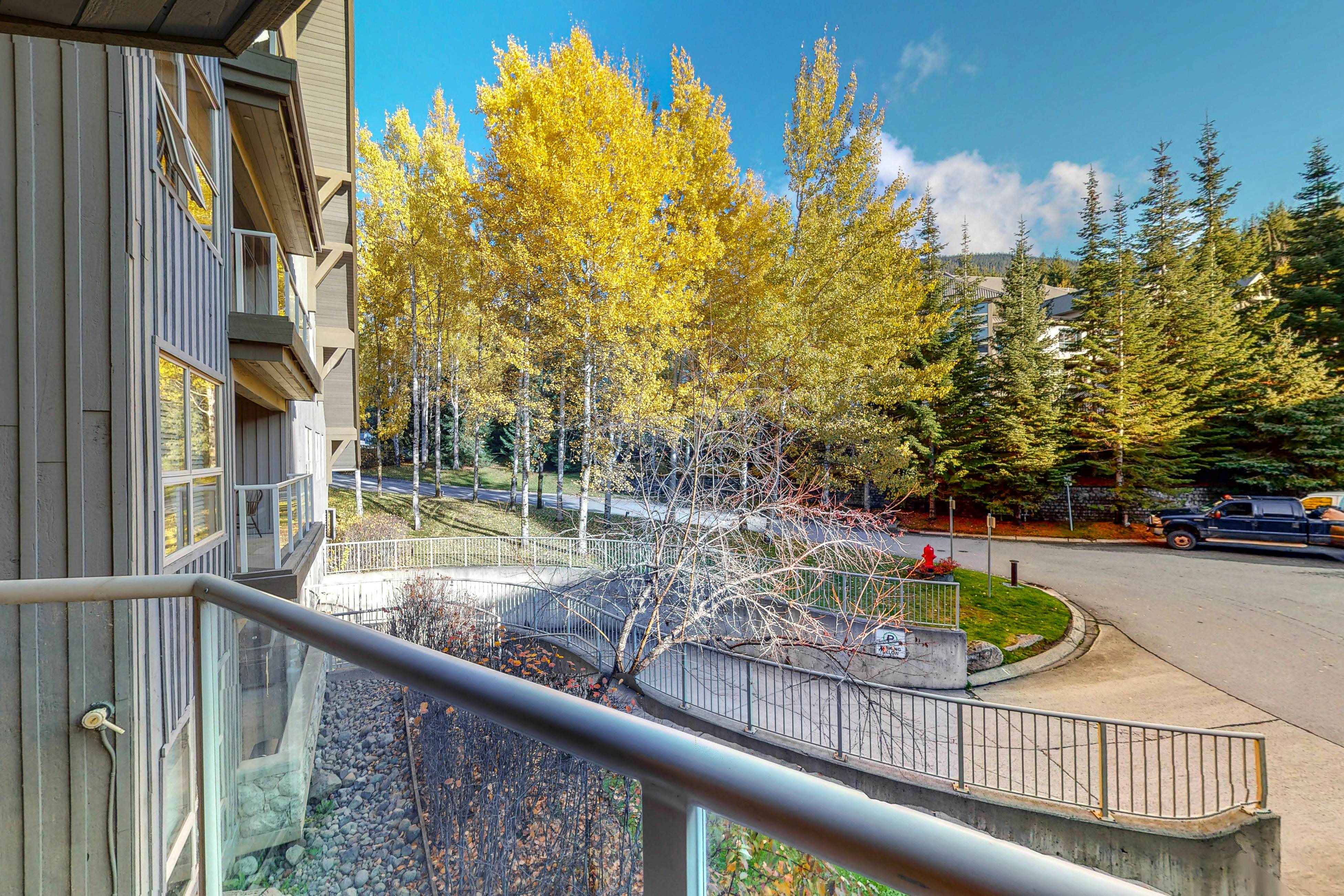 The Aspens 233