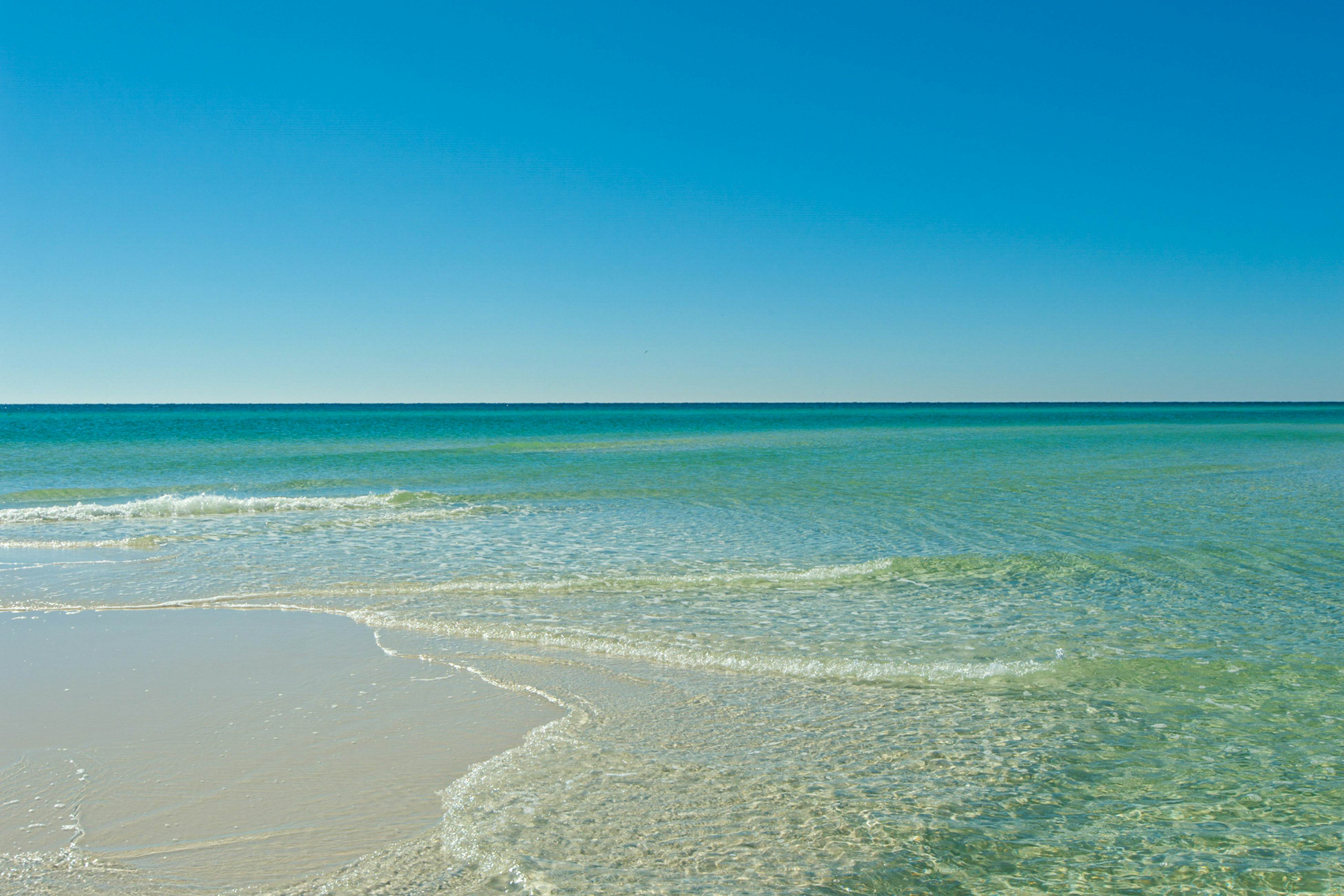 Grove By The Sea - Panhandle Dreams