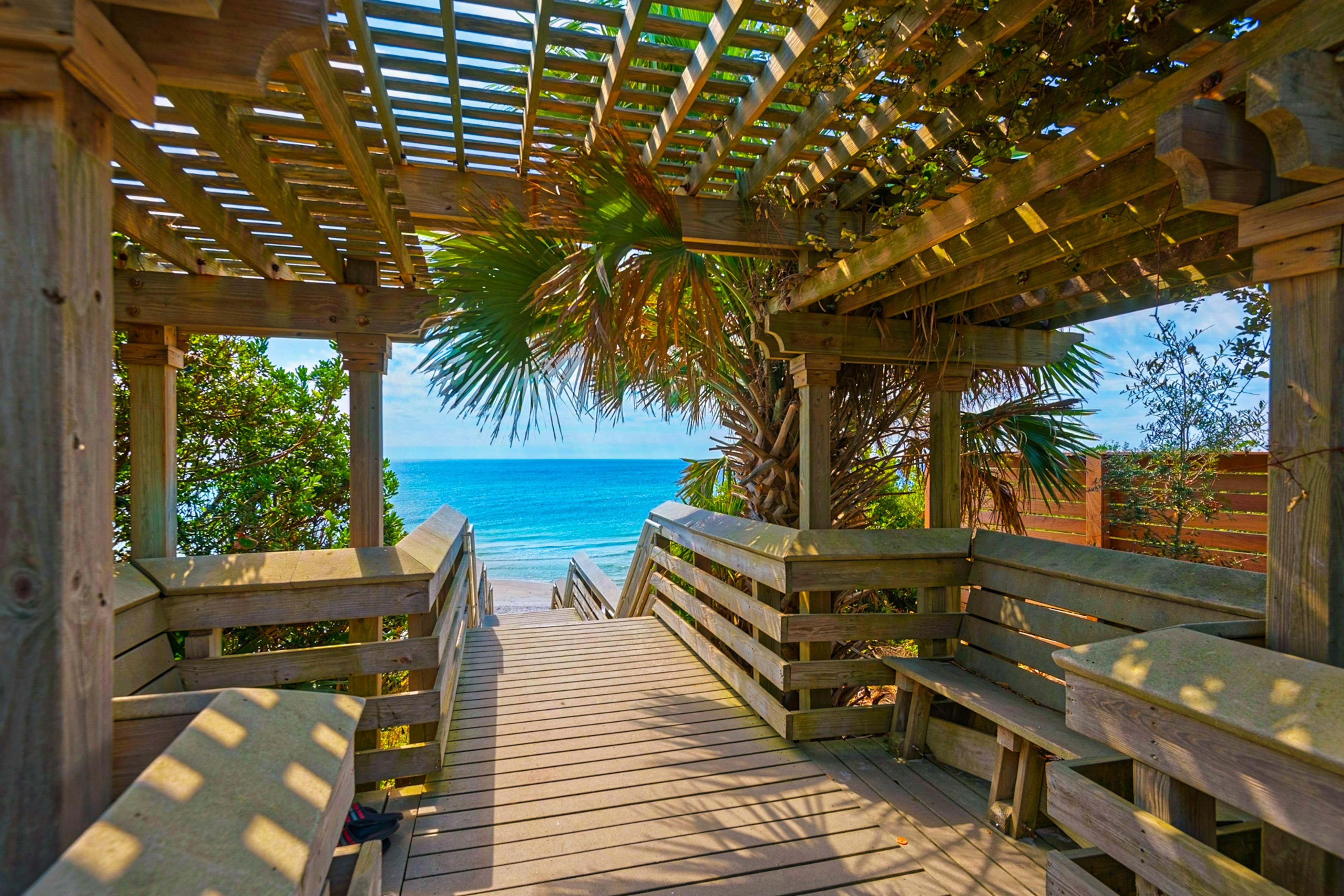 Grove By The Sea - Panhandle Dreams