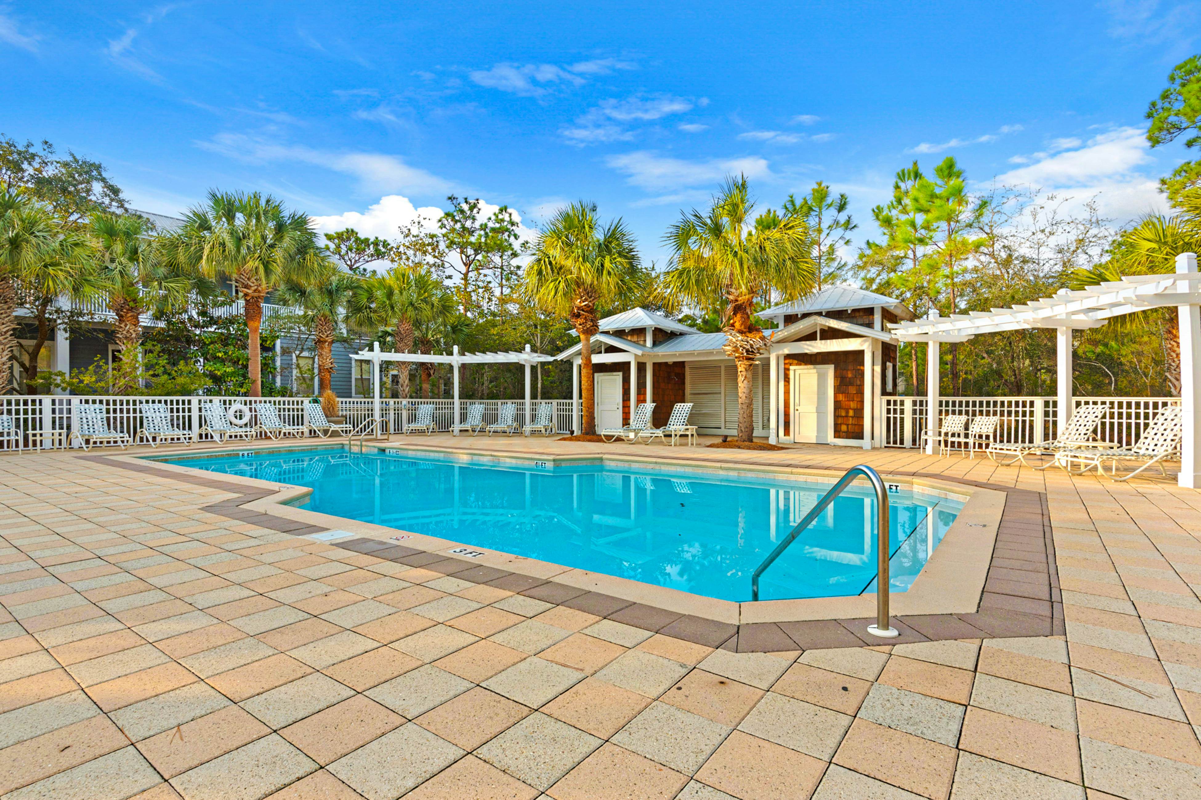 Grove By The Sea - Panhandle Dreams