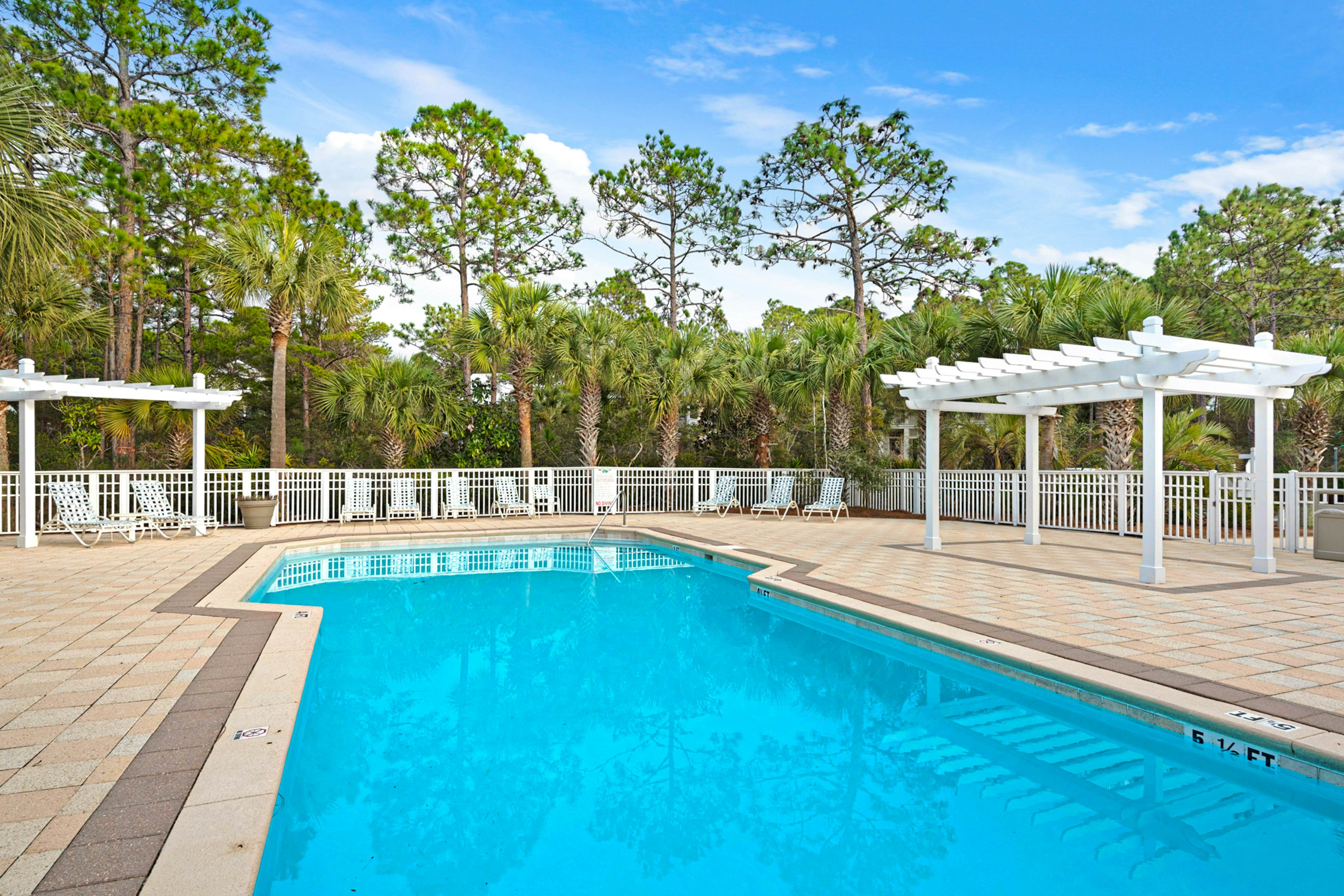 Grove By The Sea - Panhandle Dreams