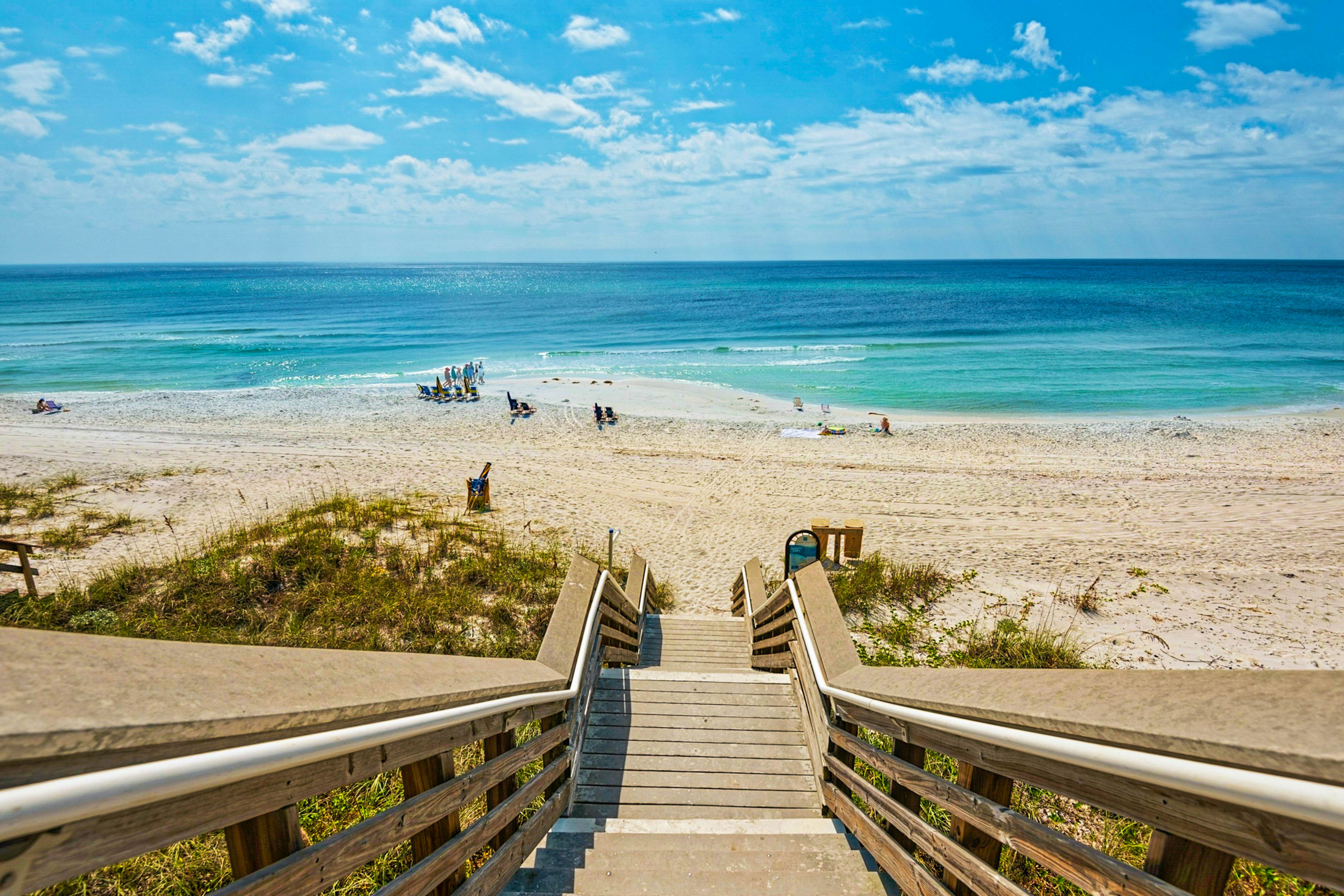 Grove By The Sea - Panhandle Dreams