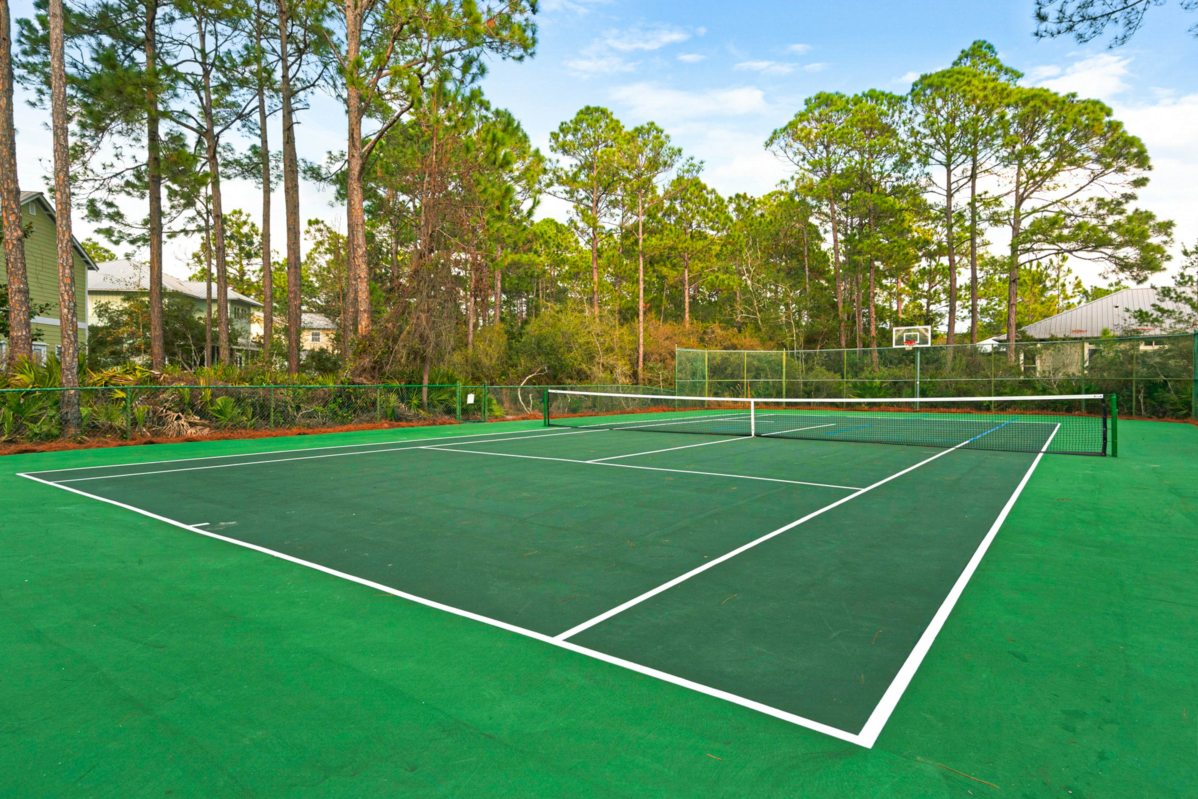 Grove By The Sea - Panhandle Dreams