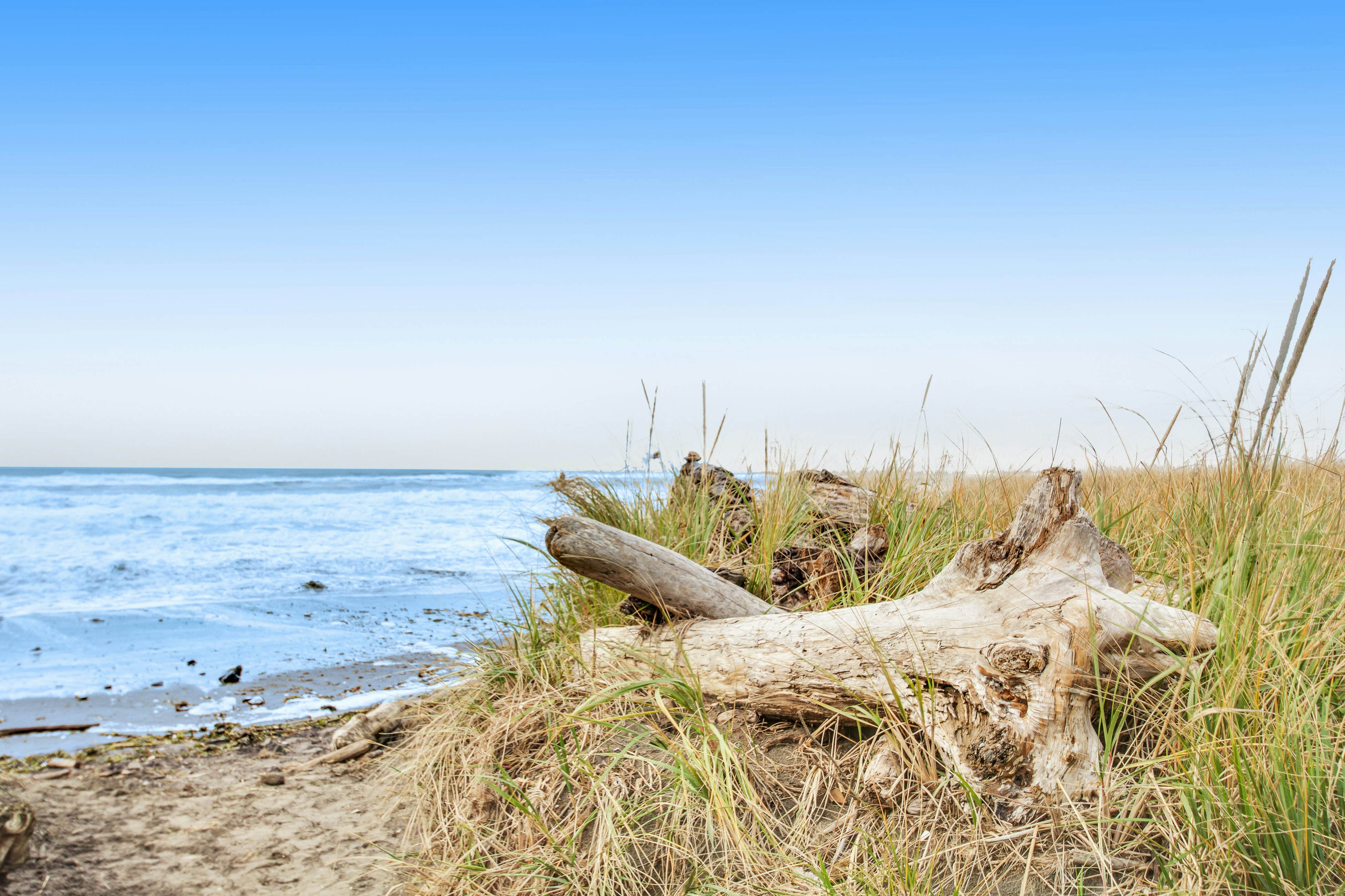 hidden image preload