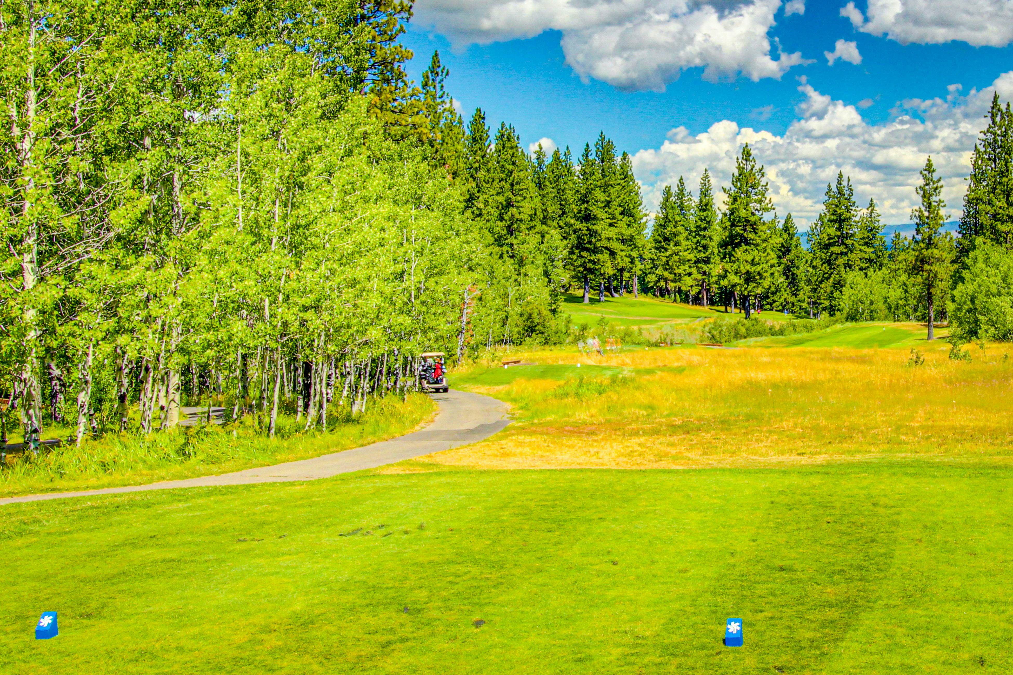 Tranquility in Truckee