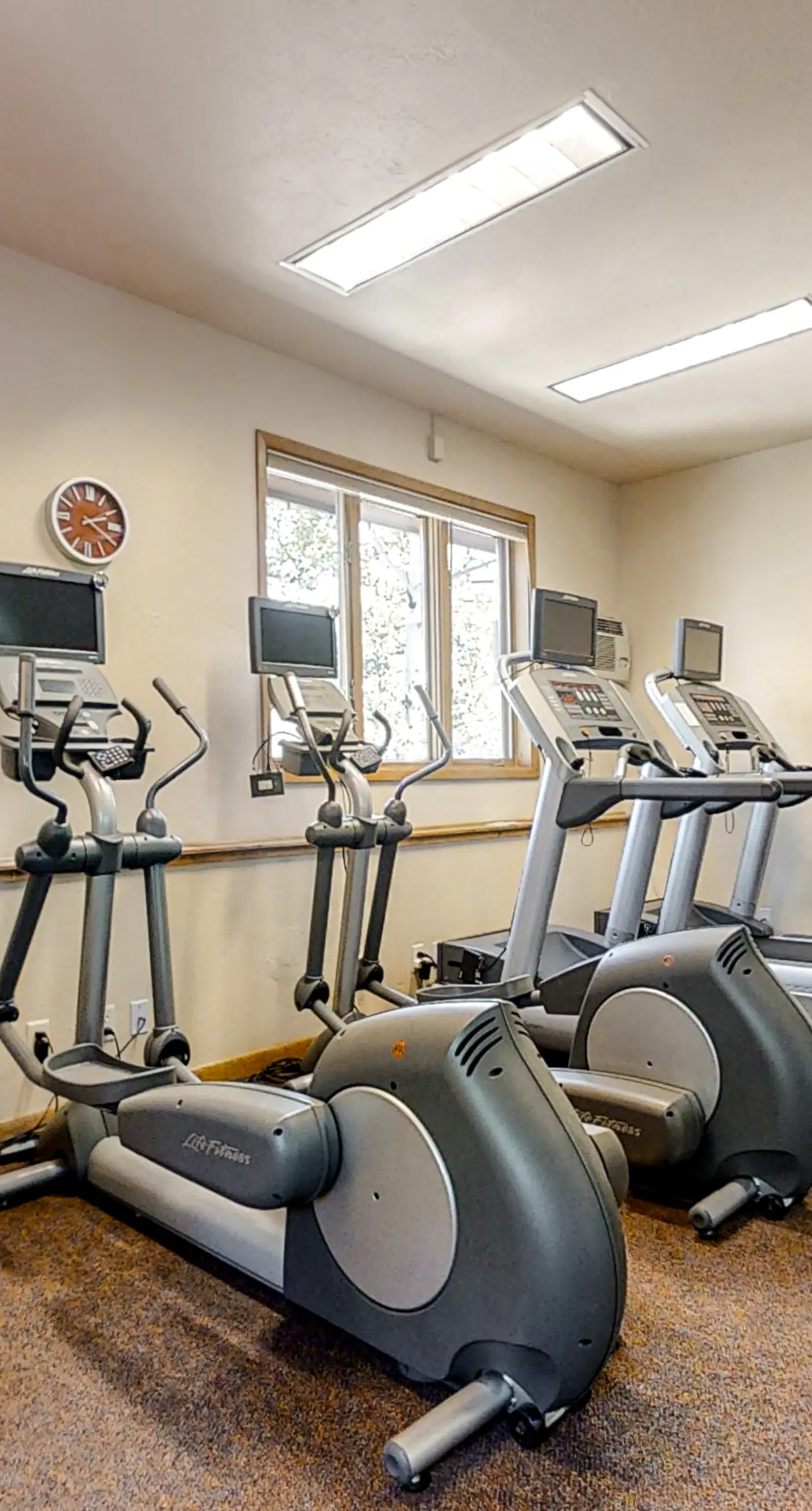 Trappeurs Lodge 1206