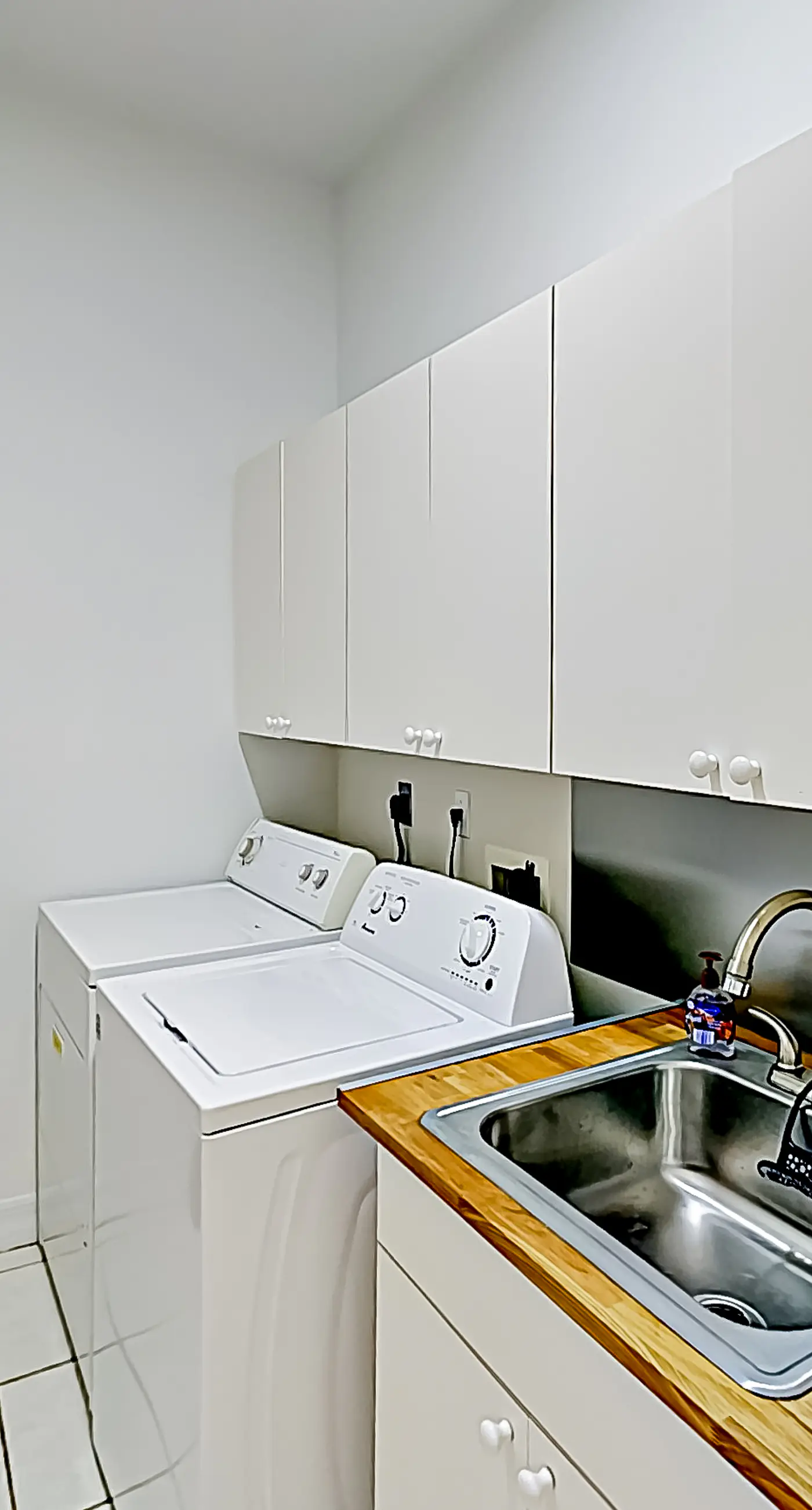 Palm Paradise Escape