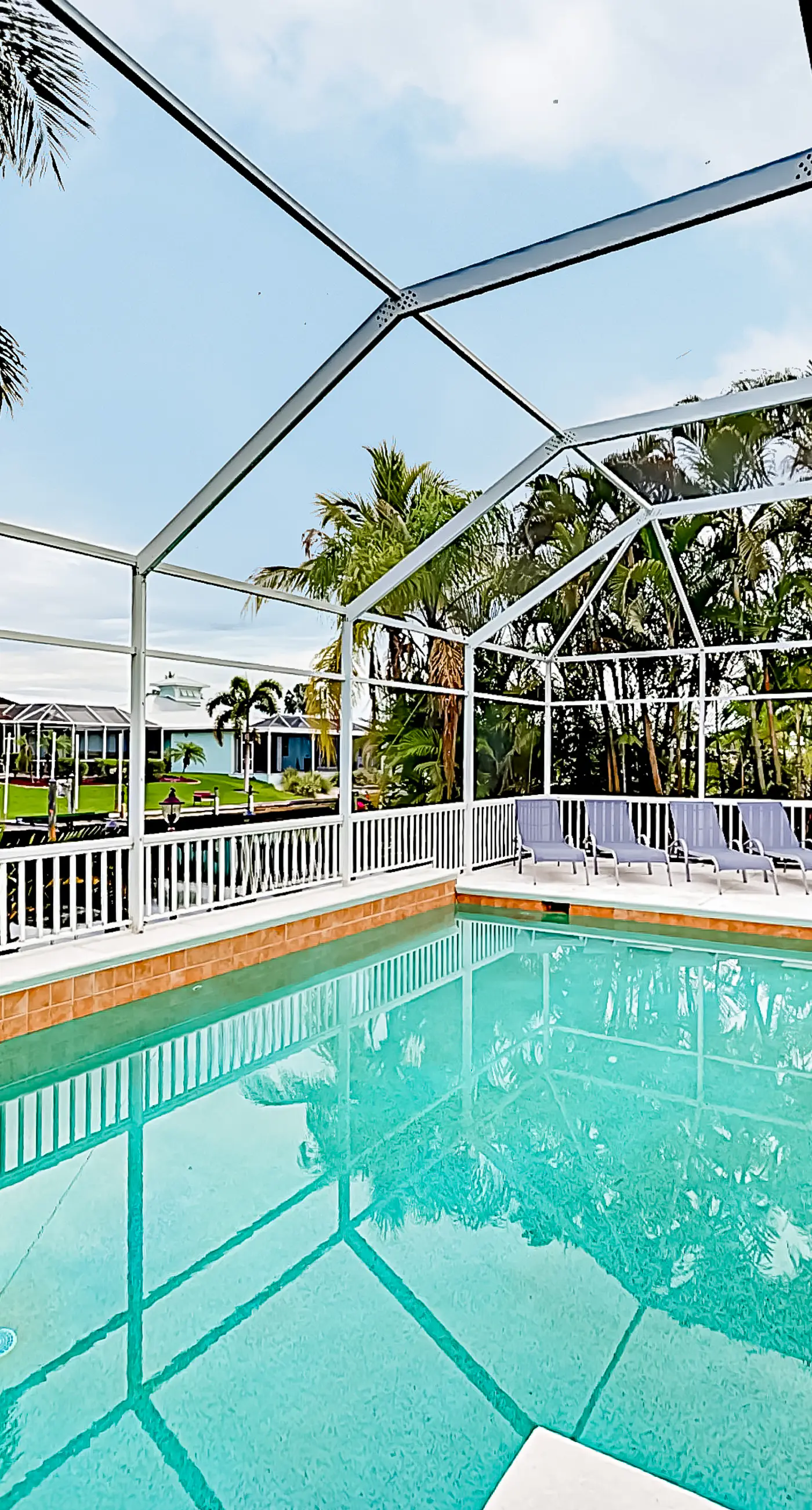 Palm Paradise Escape