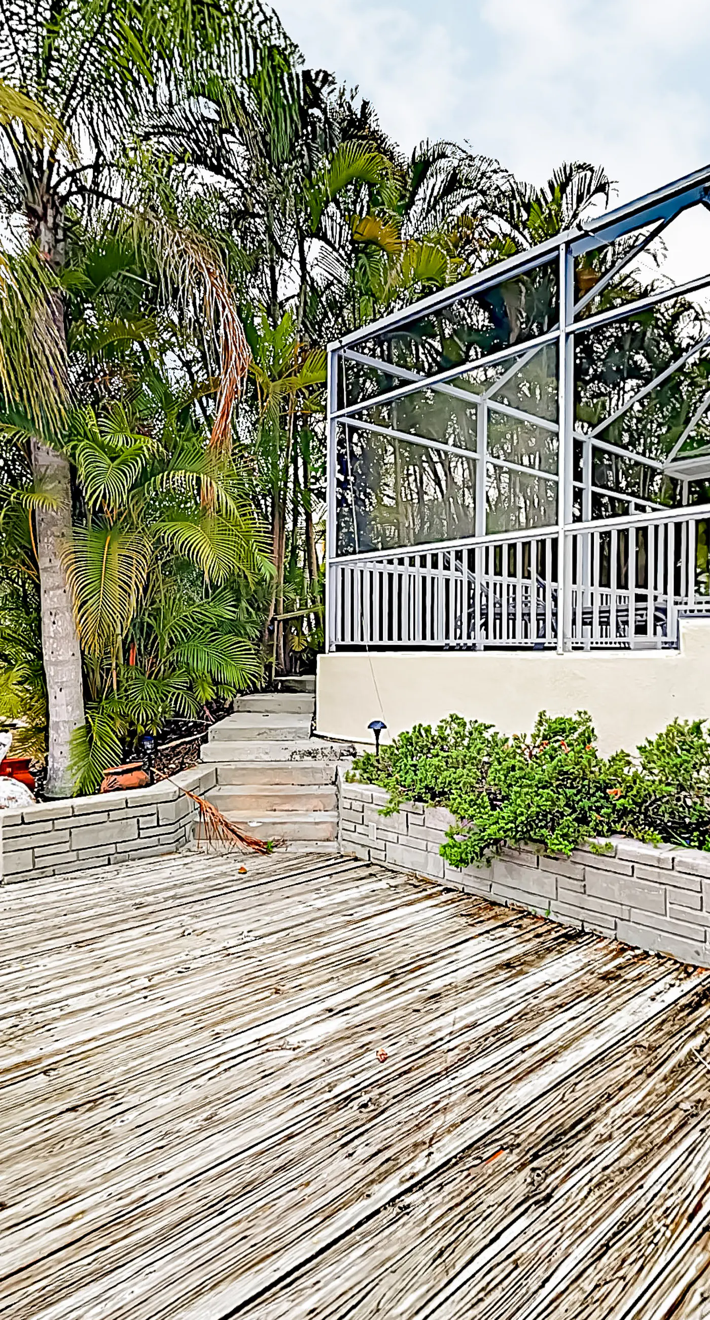 Palm Paradise Escape