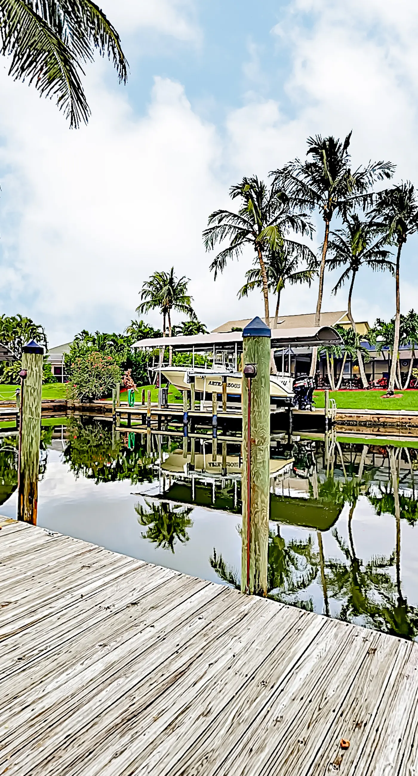 Palm Paradise Escape