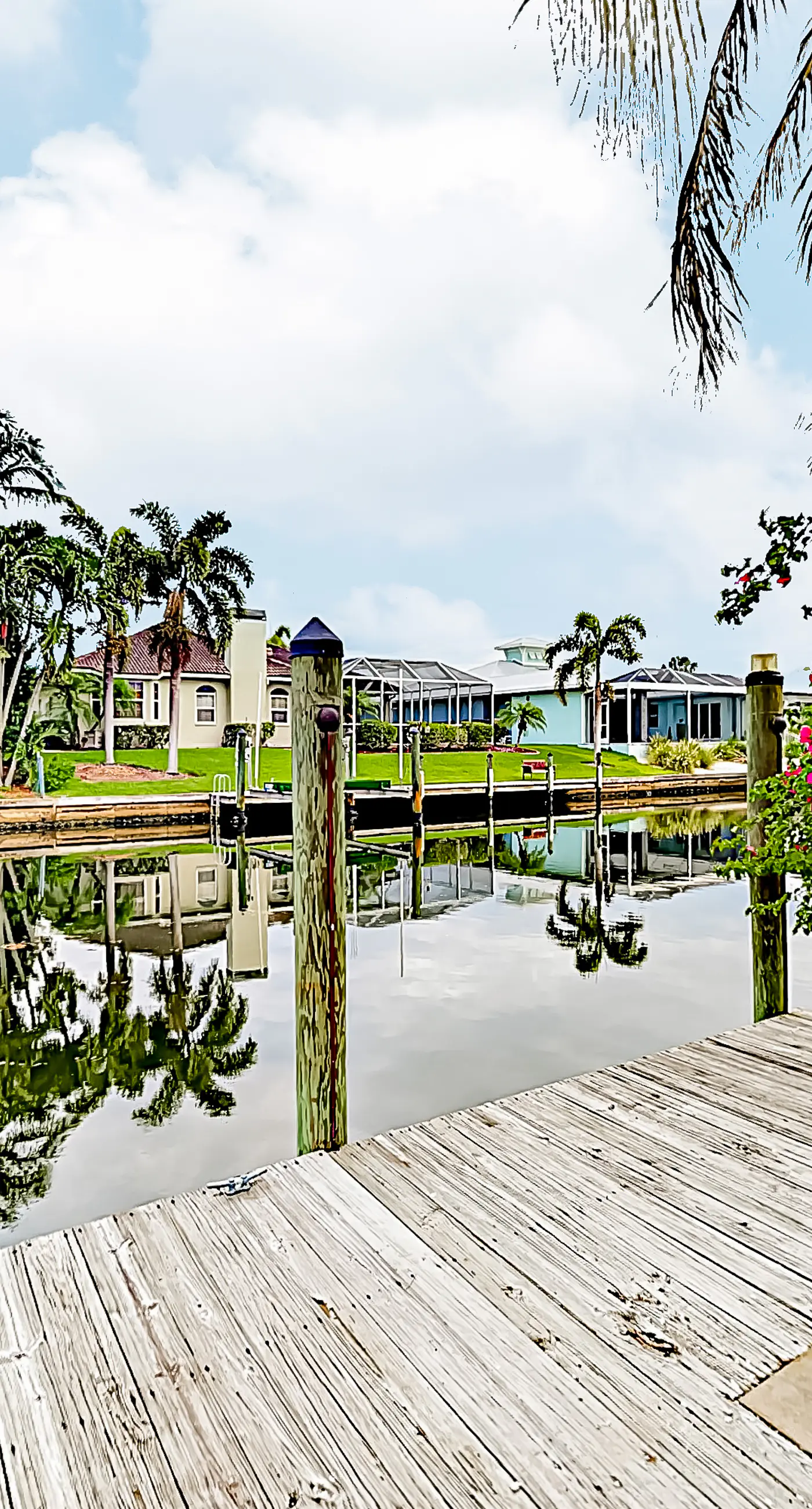 Palm Paradise Escape