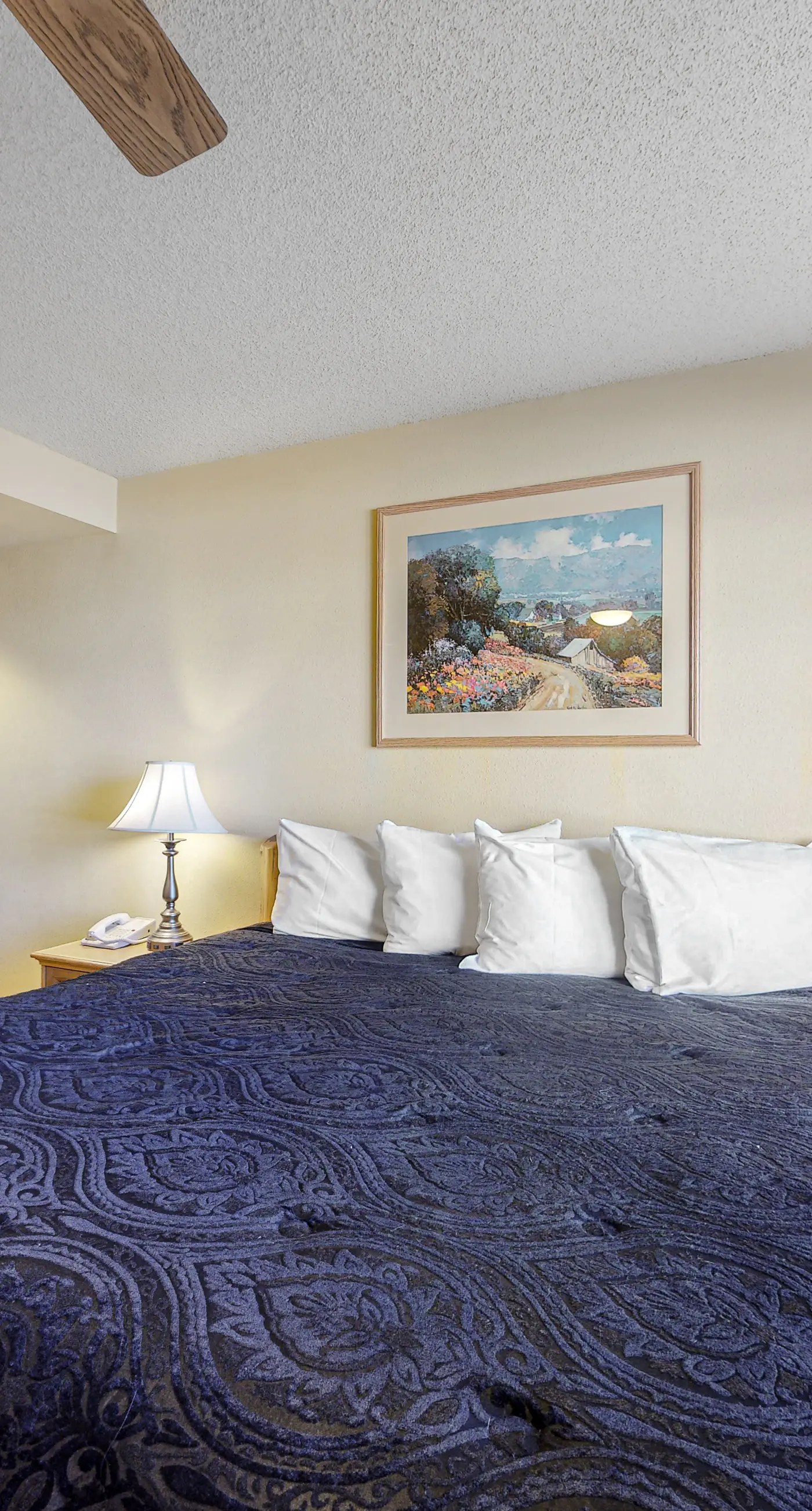 Crested Butte's Dream Studio GL270