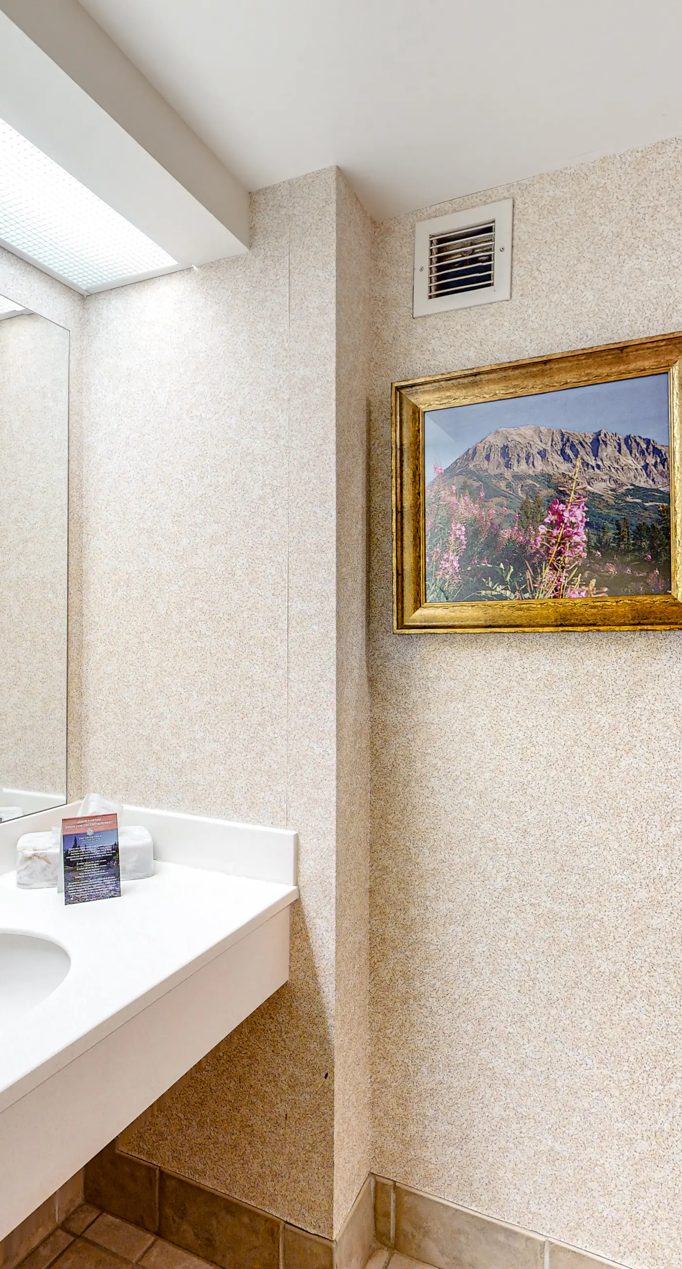 Crested Butte's Dream Studio GL270