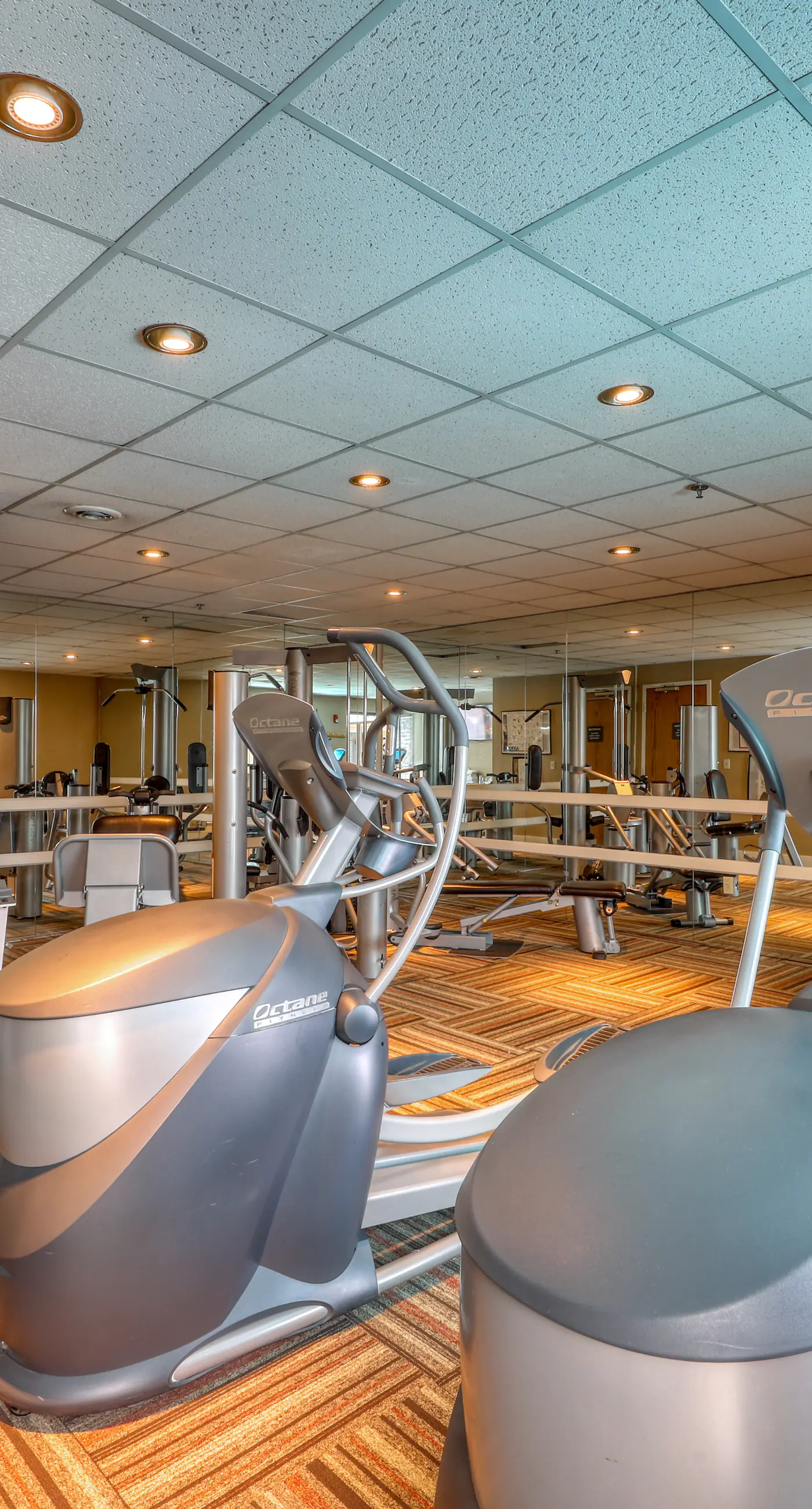 Crested Butte's Dream Studio GL270