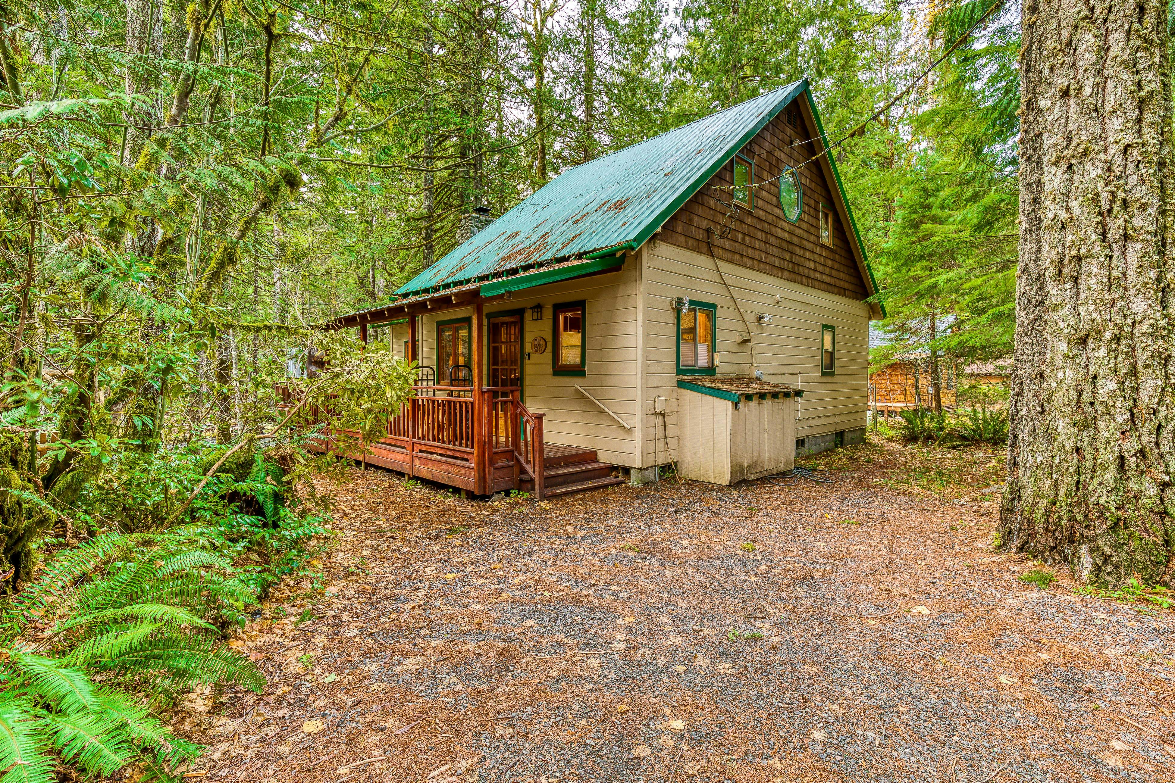 Papa Bear Cabin