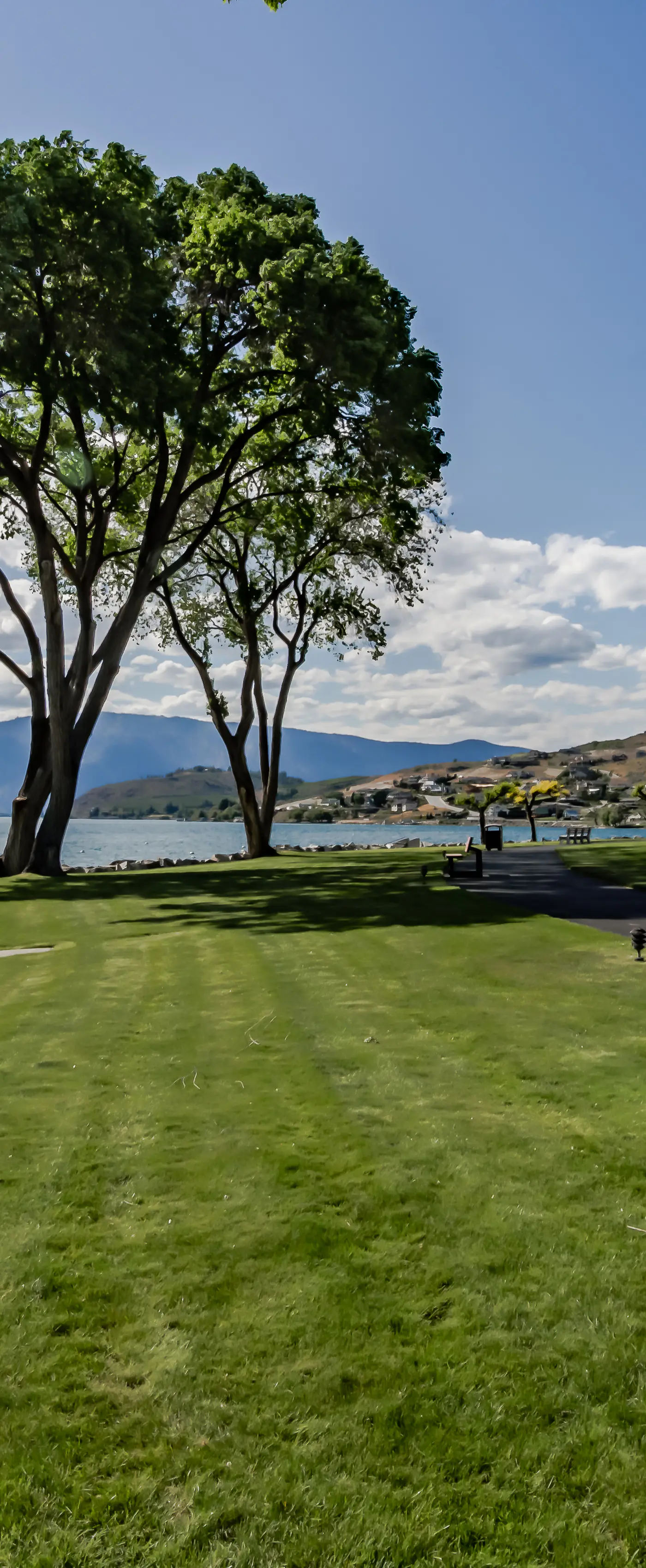 Lake Chelan Shores - Boater's Paradise #10-2