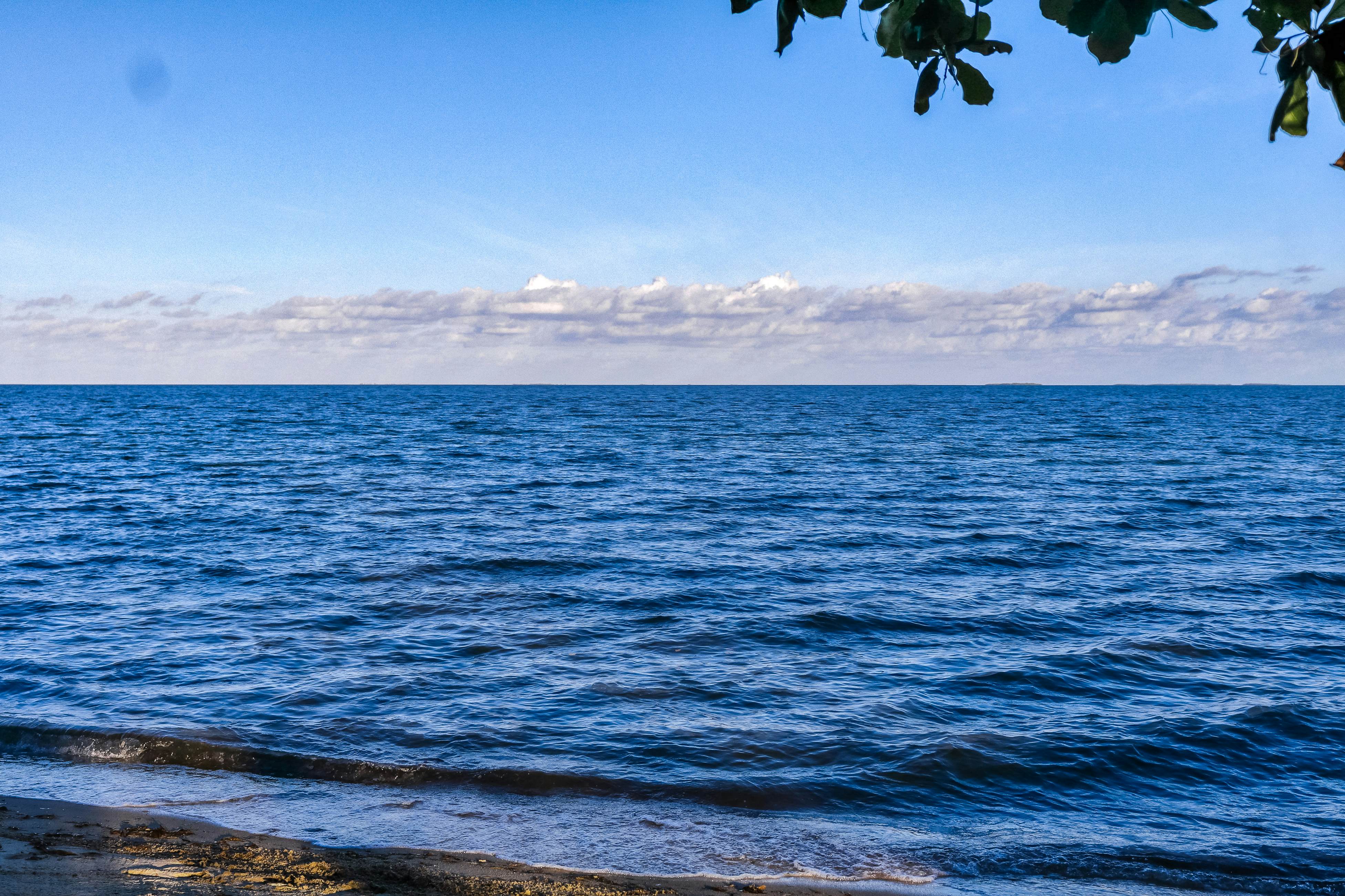 Poseidon House at Casa Edie -Gold Standard Certified