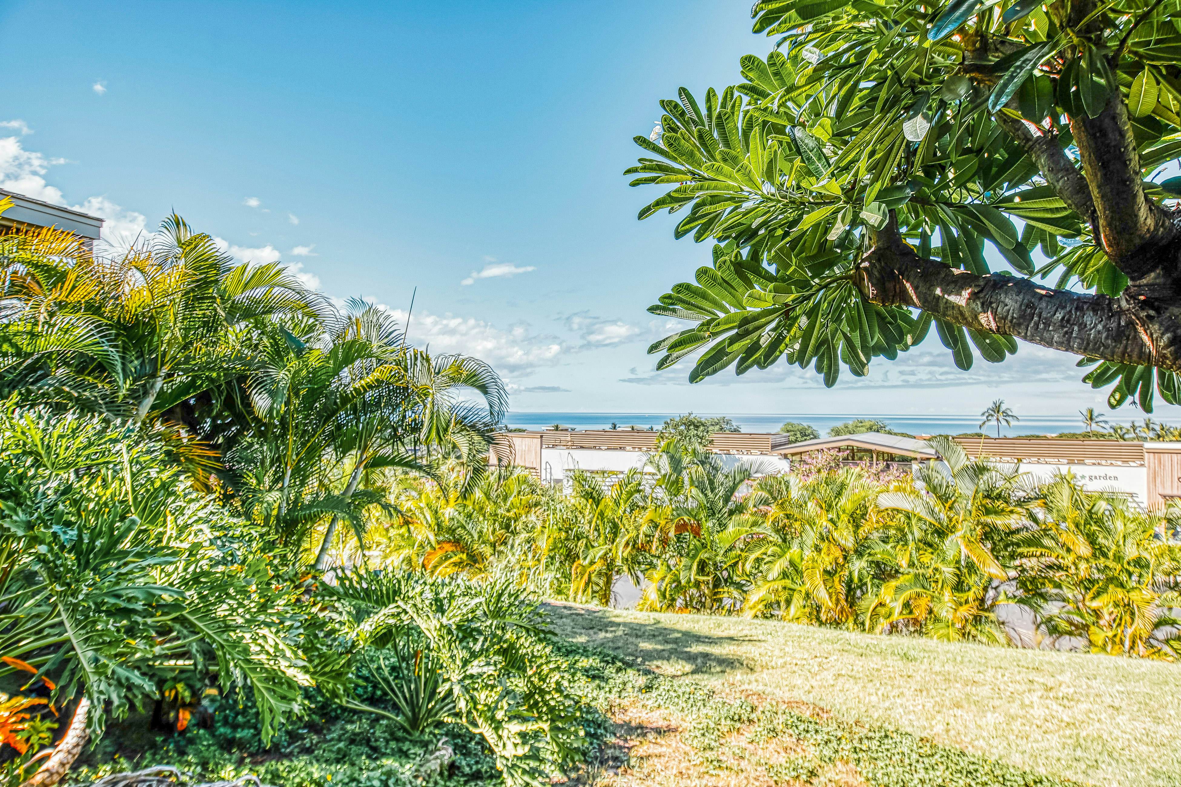 Wailea Ekolu Village 203