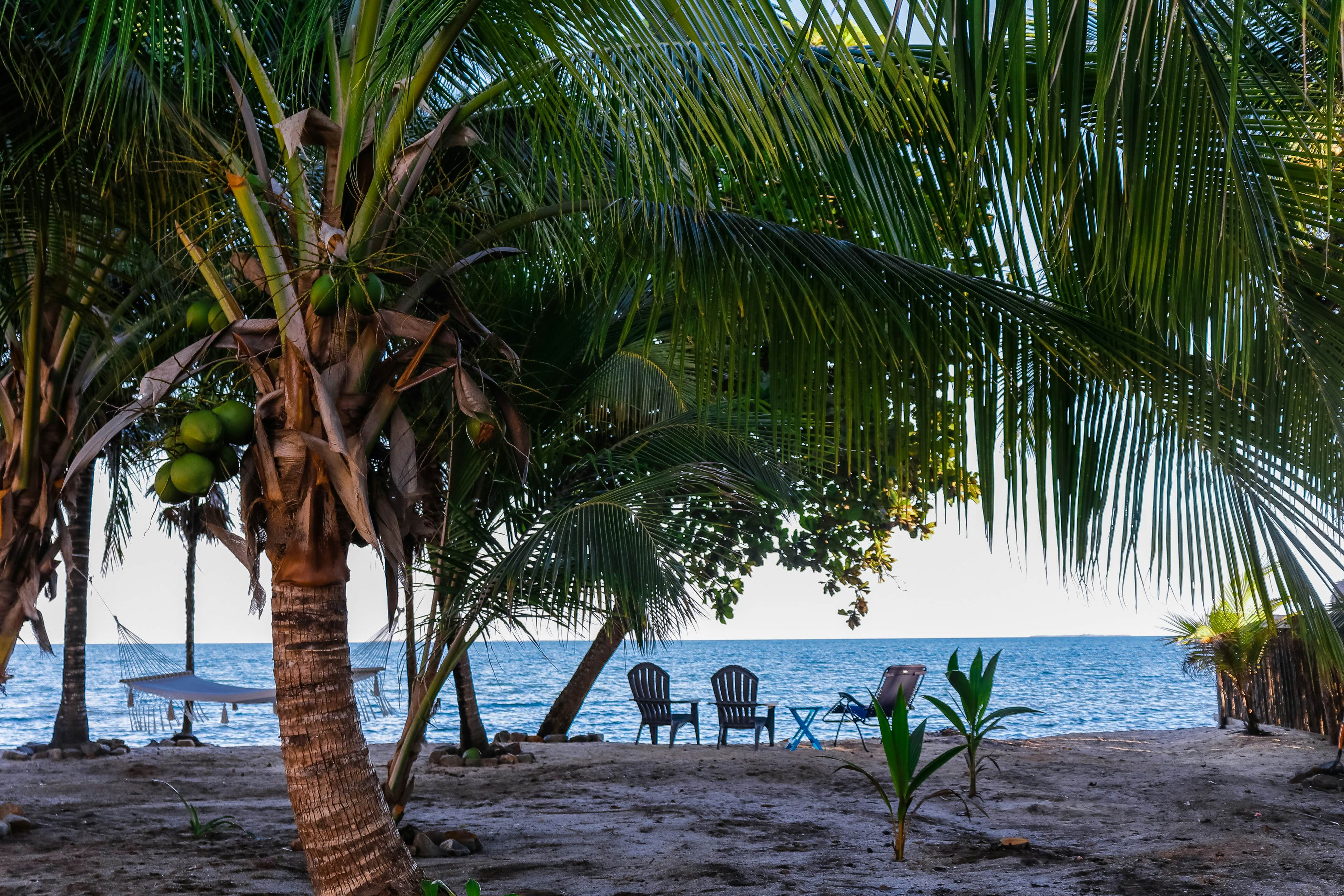 Poseidon House at Casa Edie -Gold Standard Certified